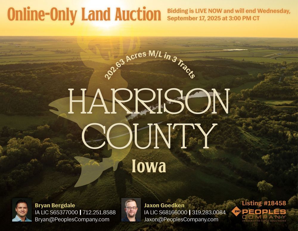 Listing #18458
