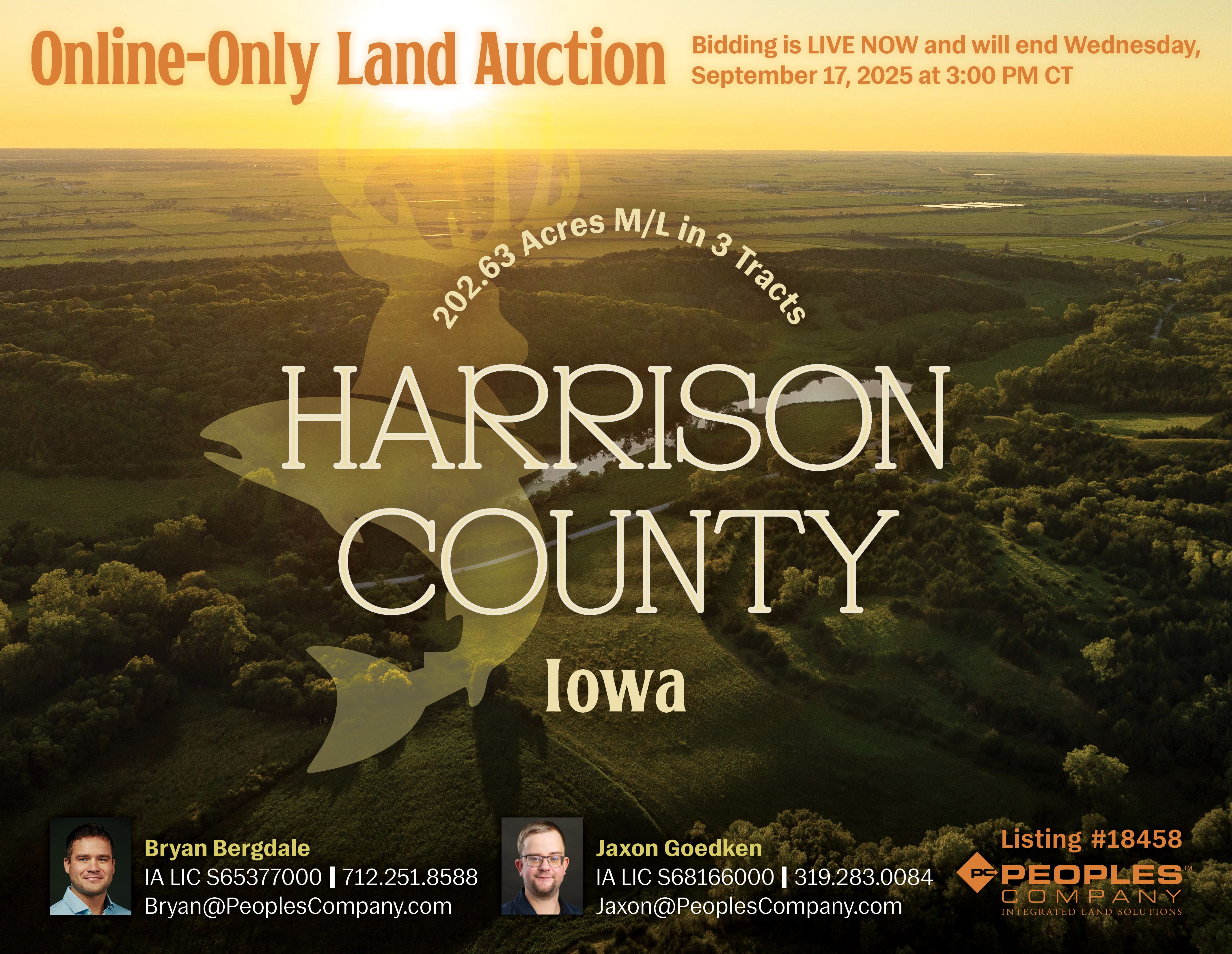 Listing #18458