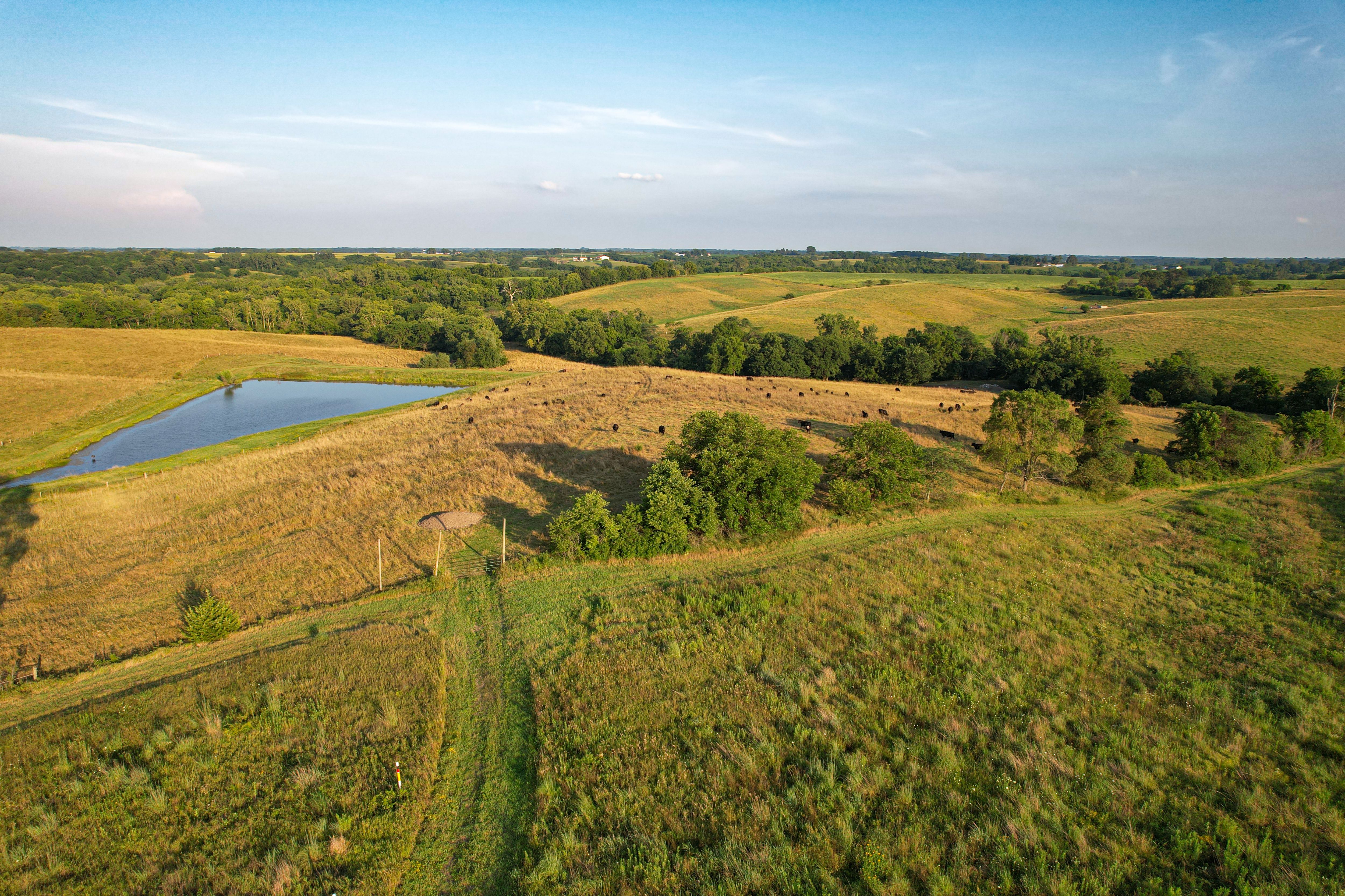 Listing #18514