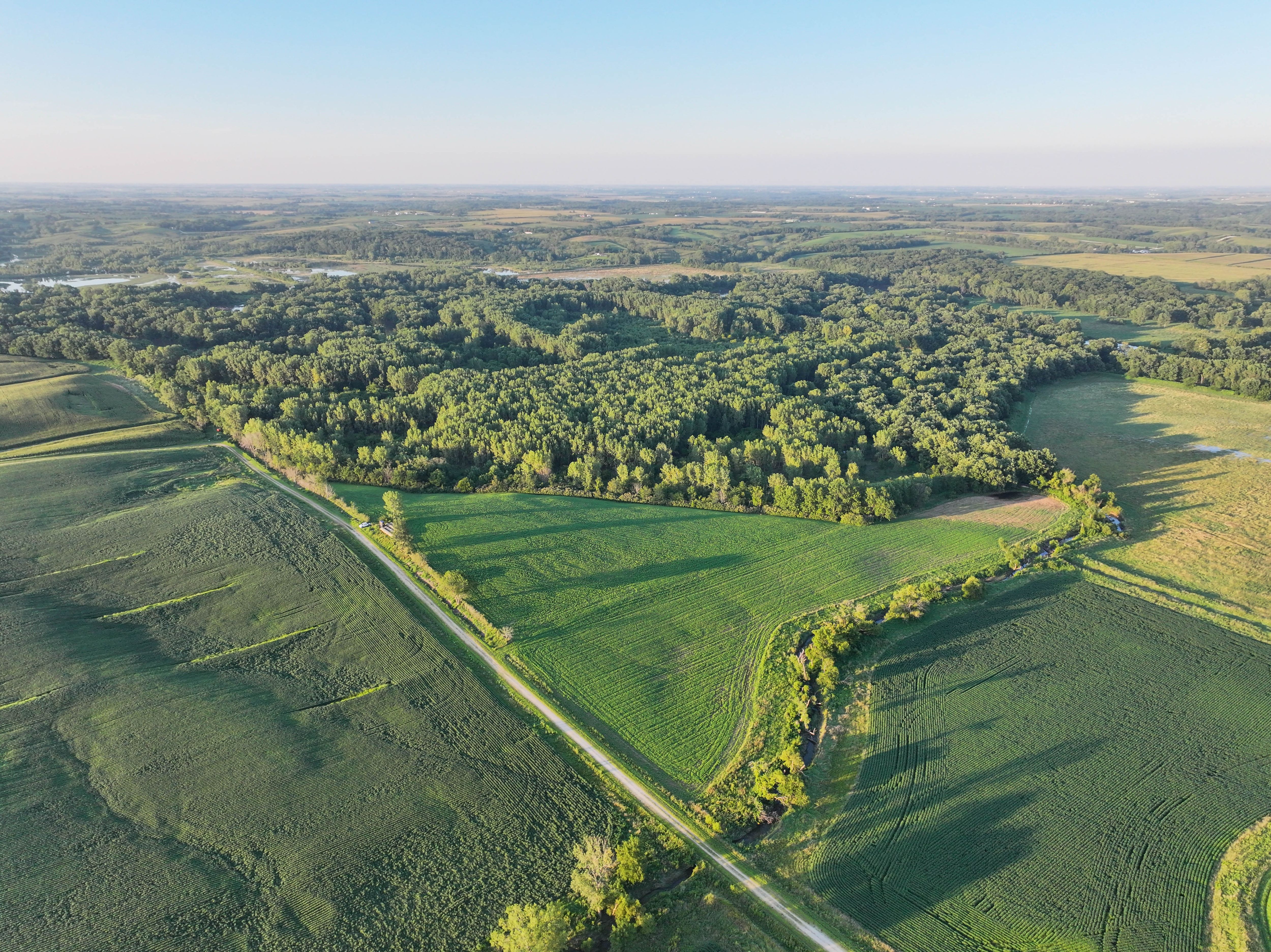 Listing #18553