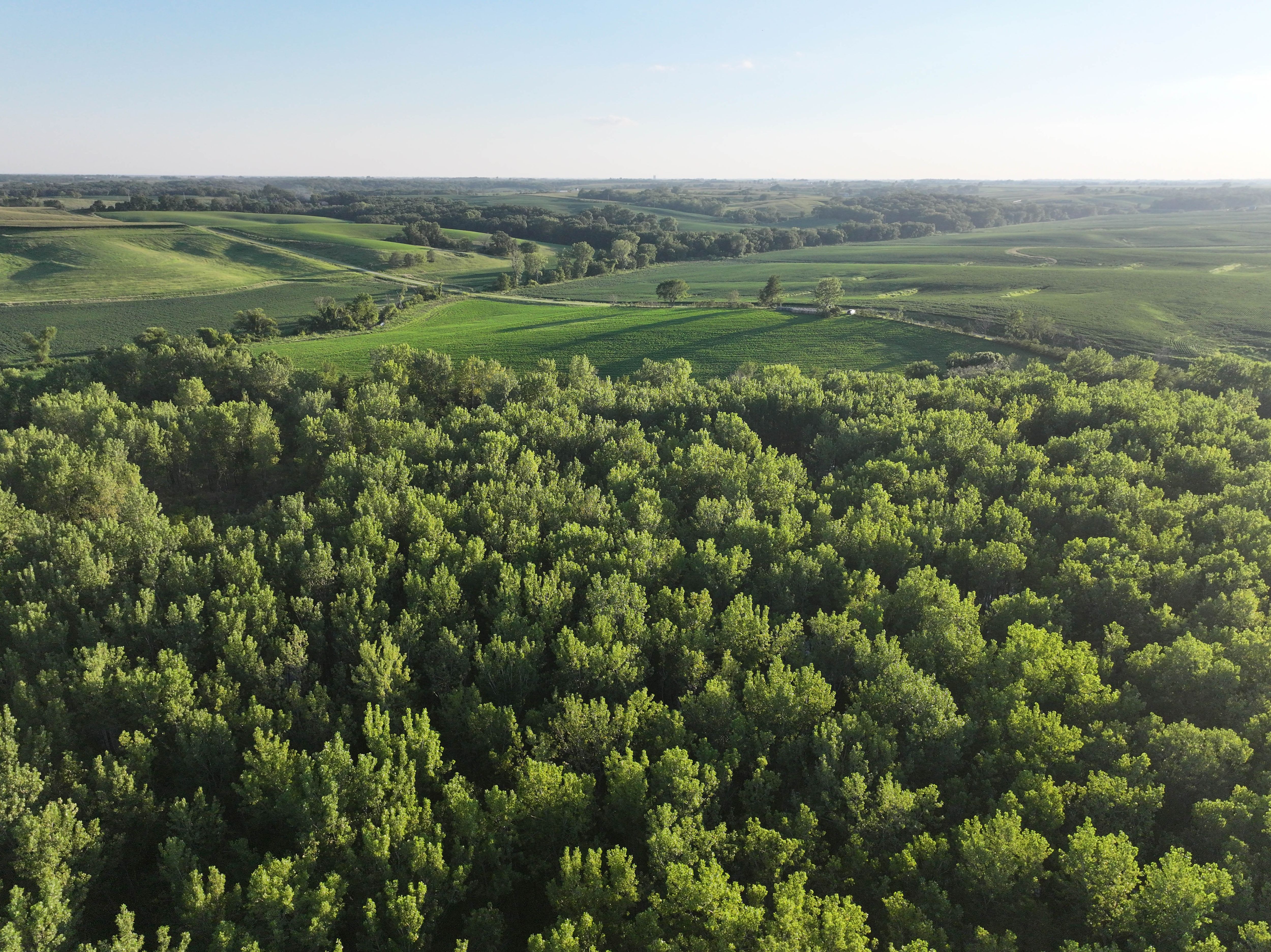 Listing #18555