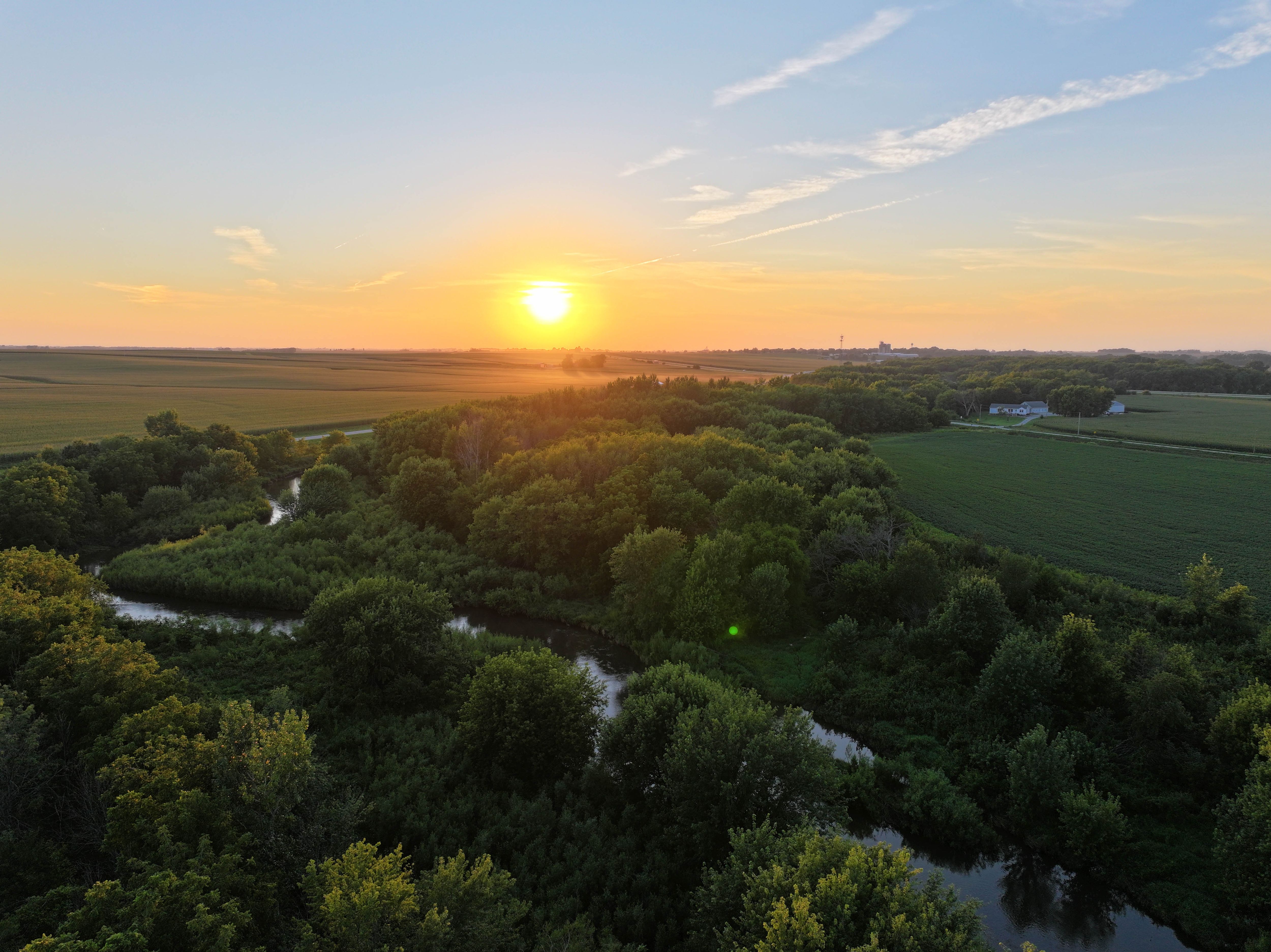 Listing #18556