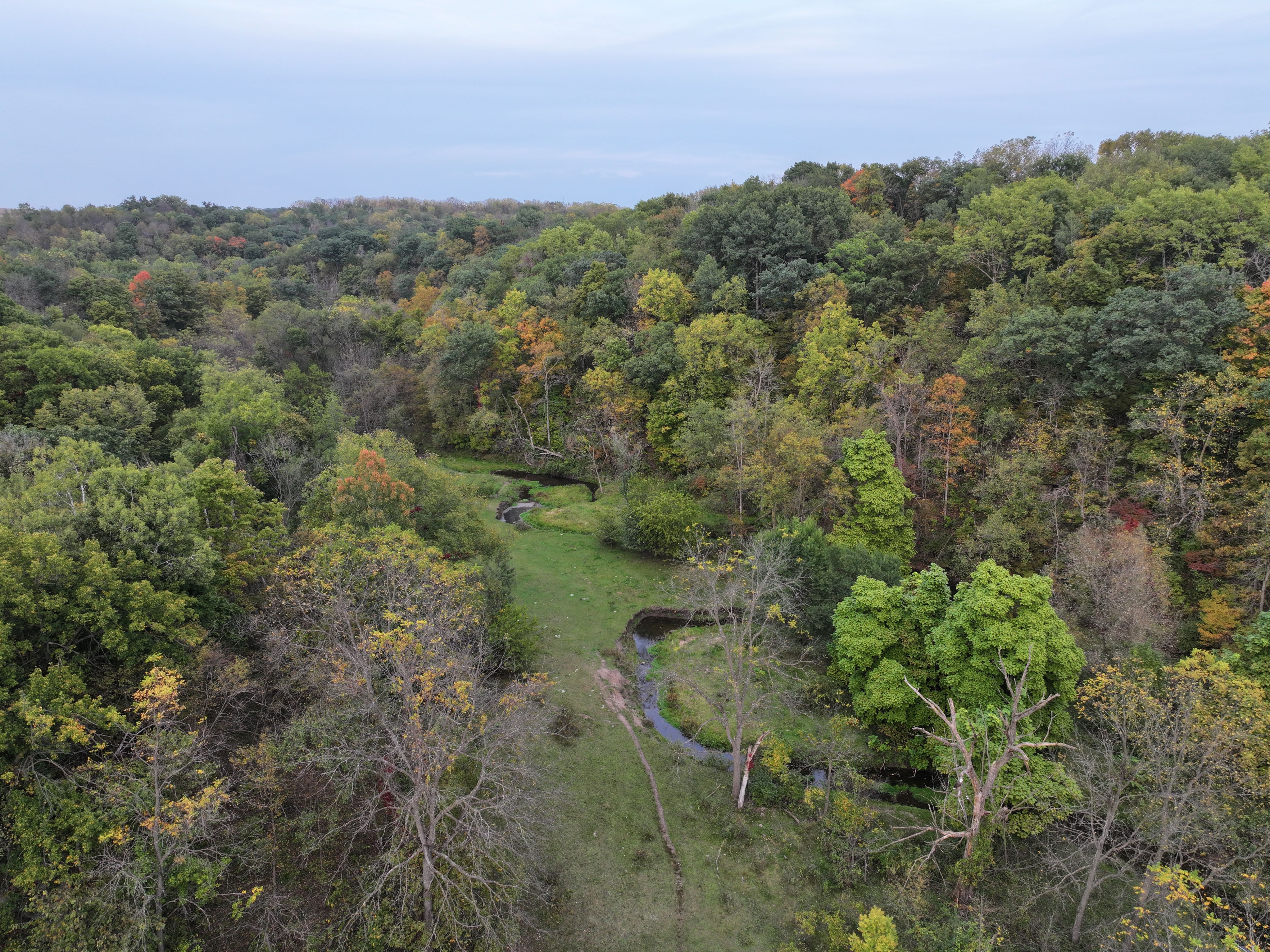 Listing #18584