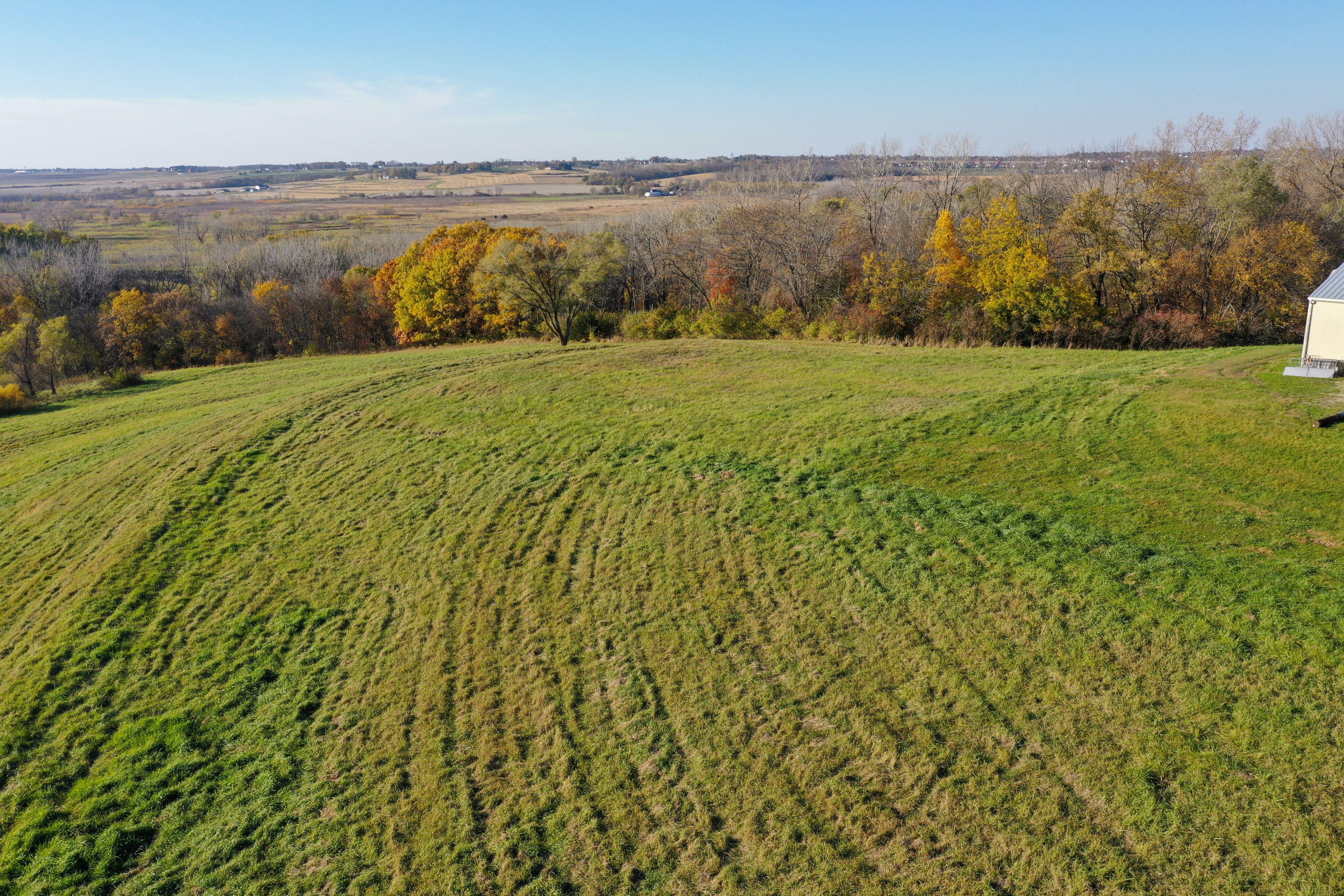 Listing #19296