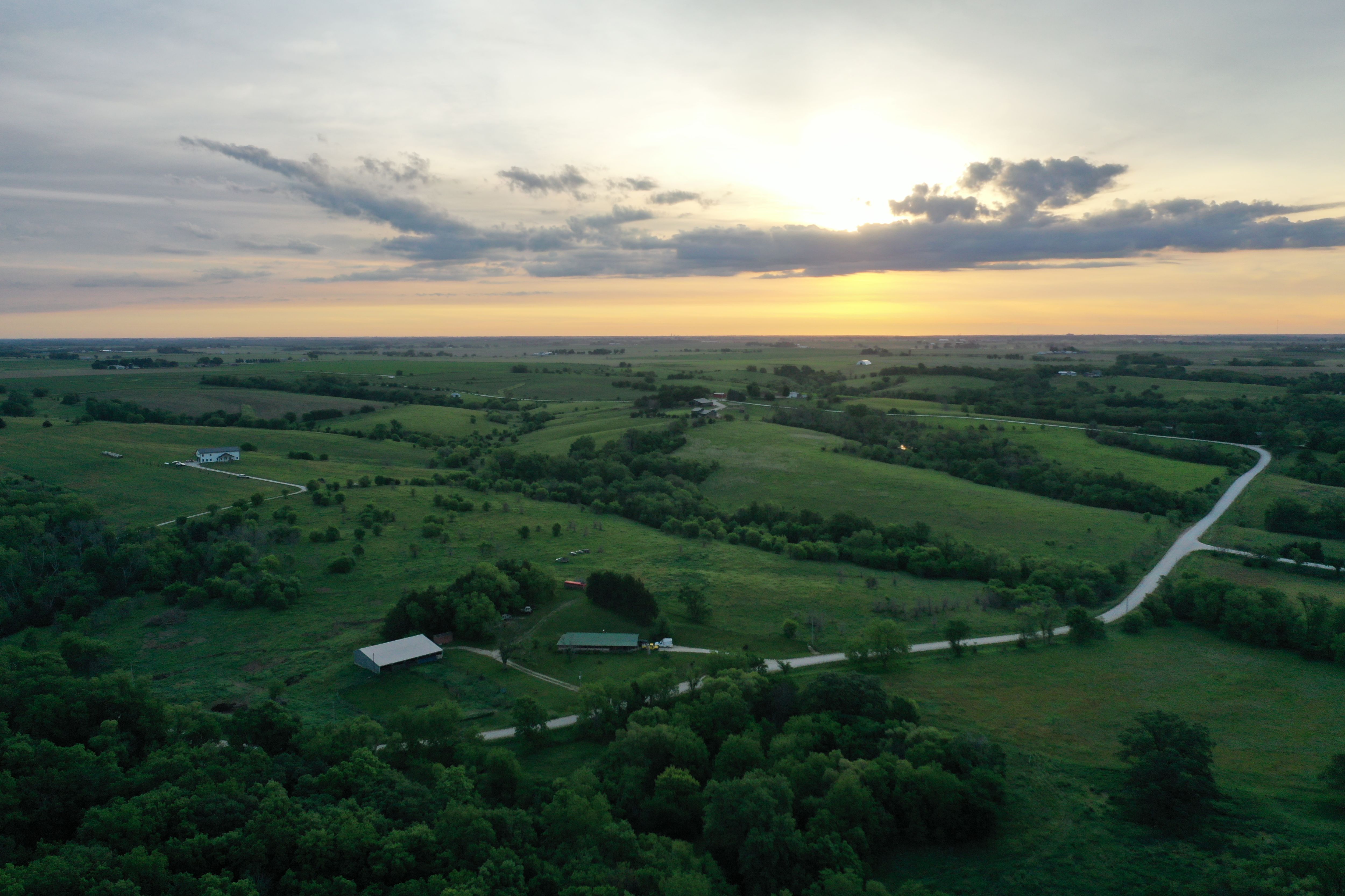 Listing #19385
