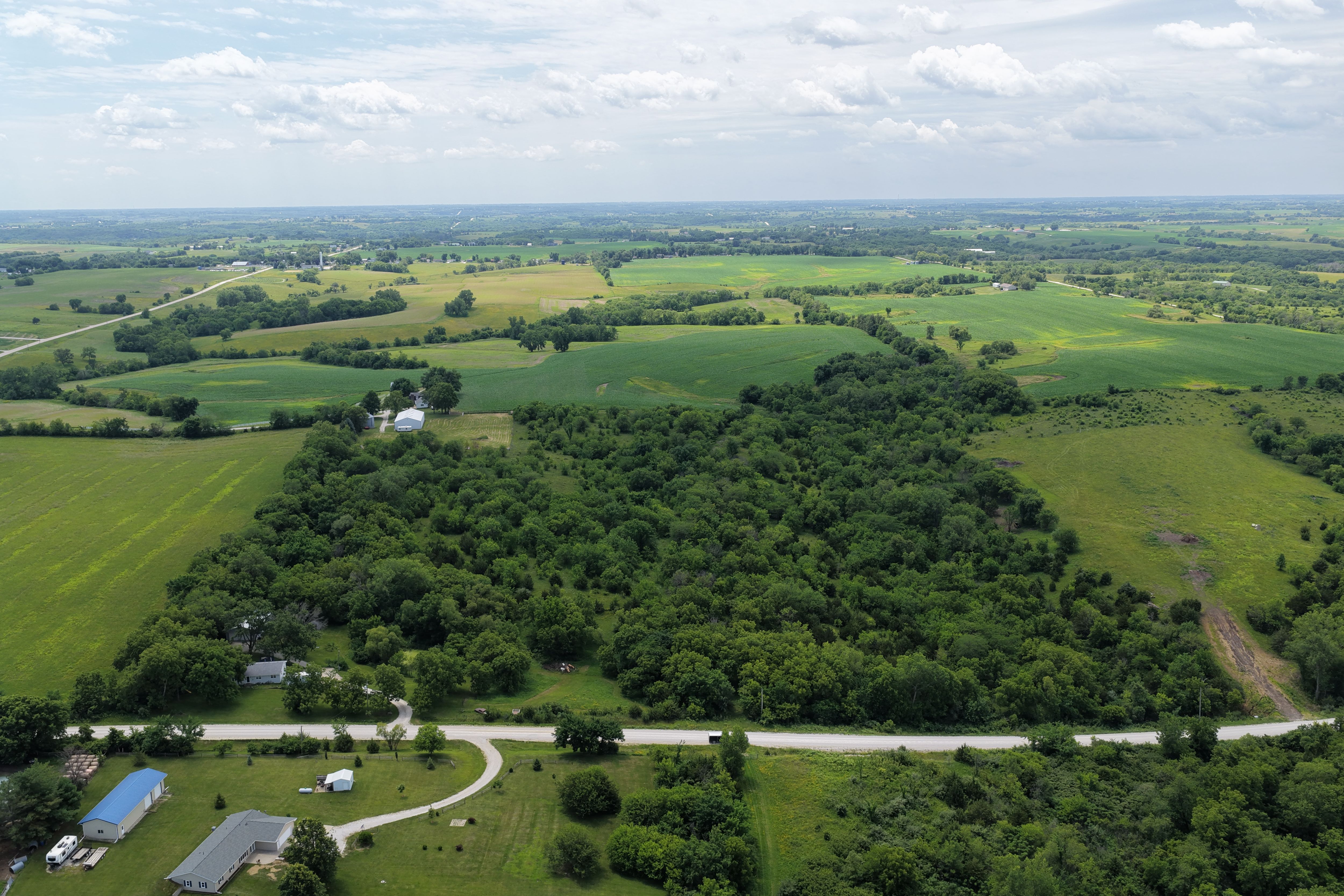 Listing #19519