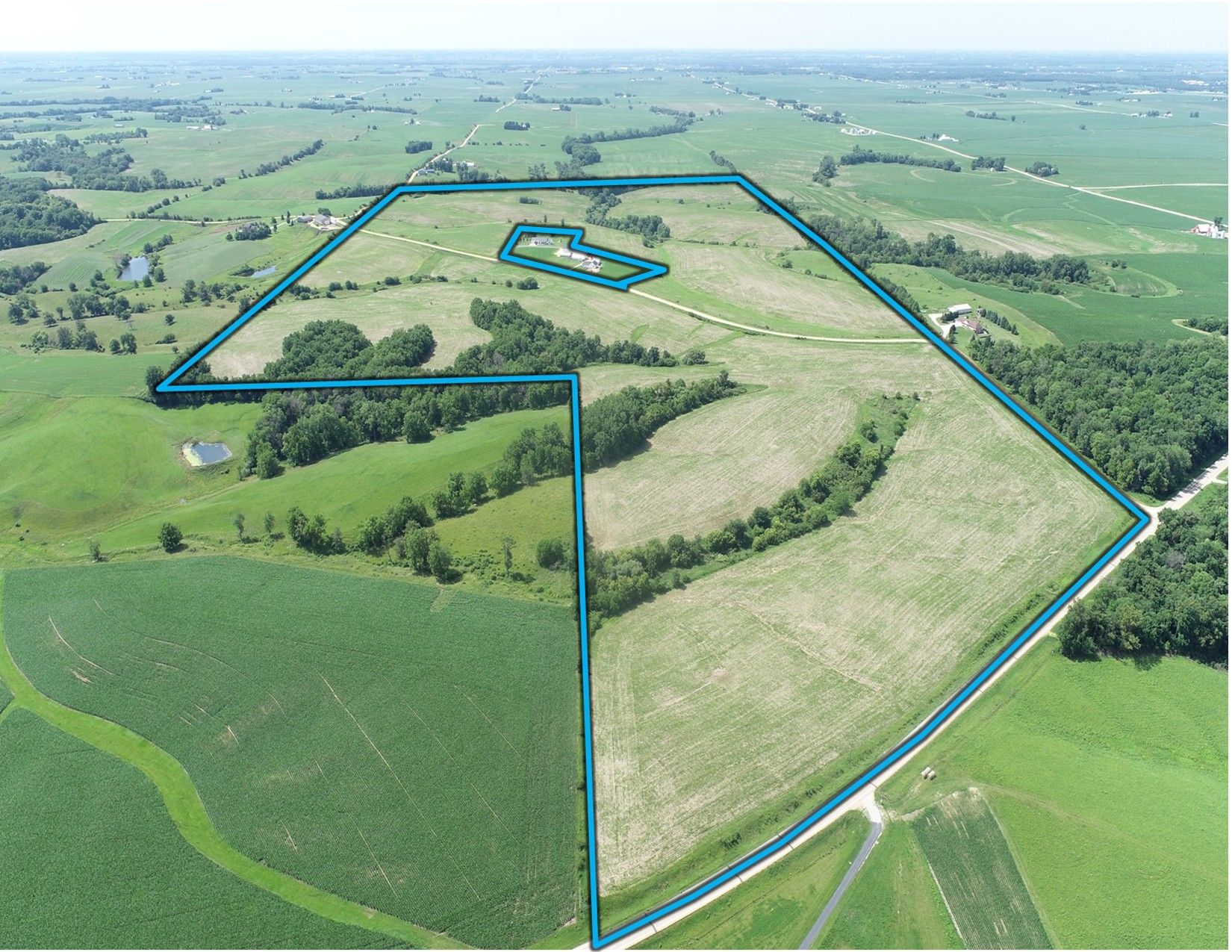 Listing #19528