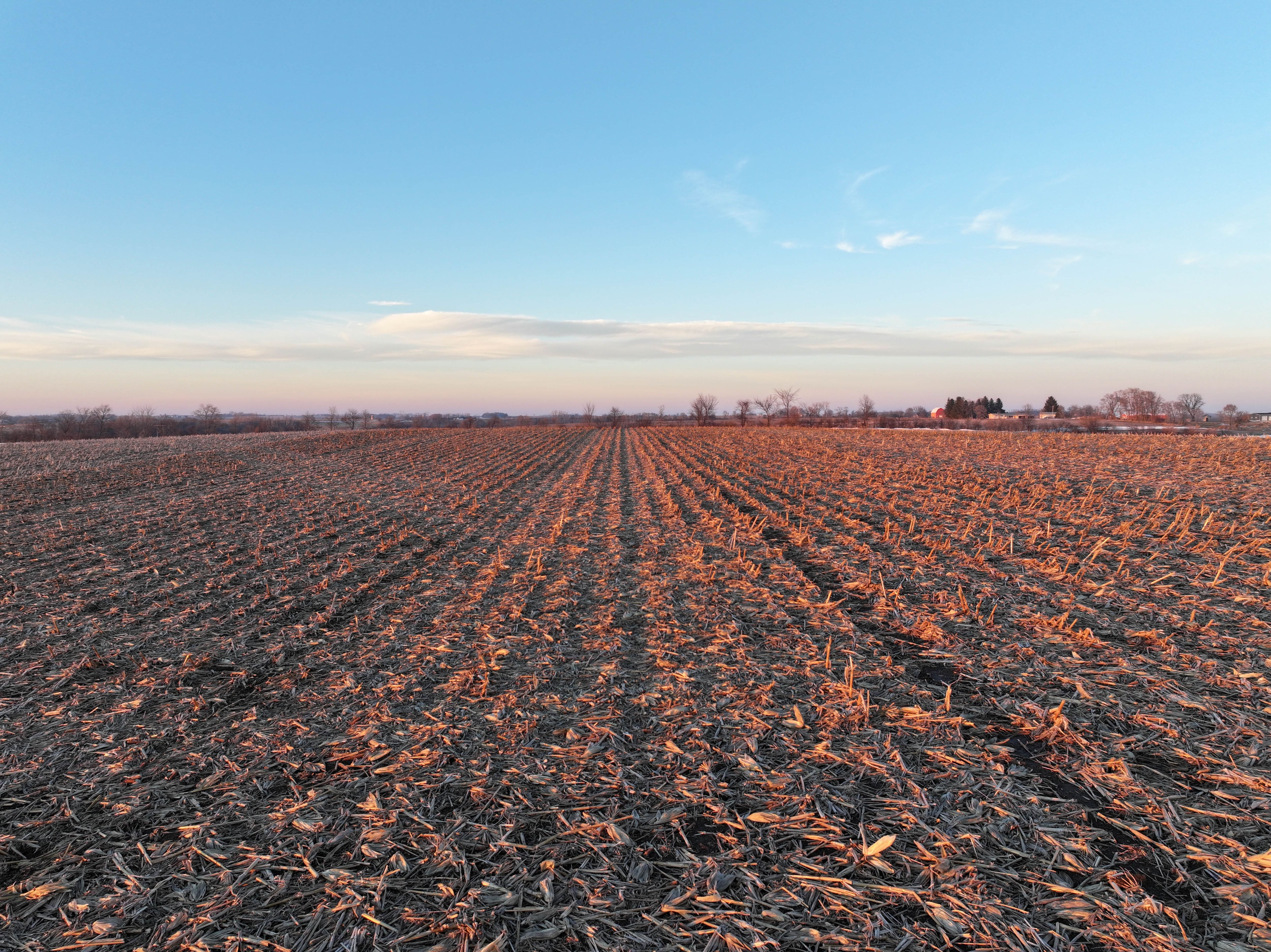 Listing Photo: DJI_20260107164335_0067_D