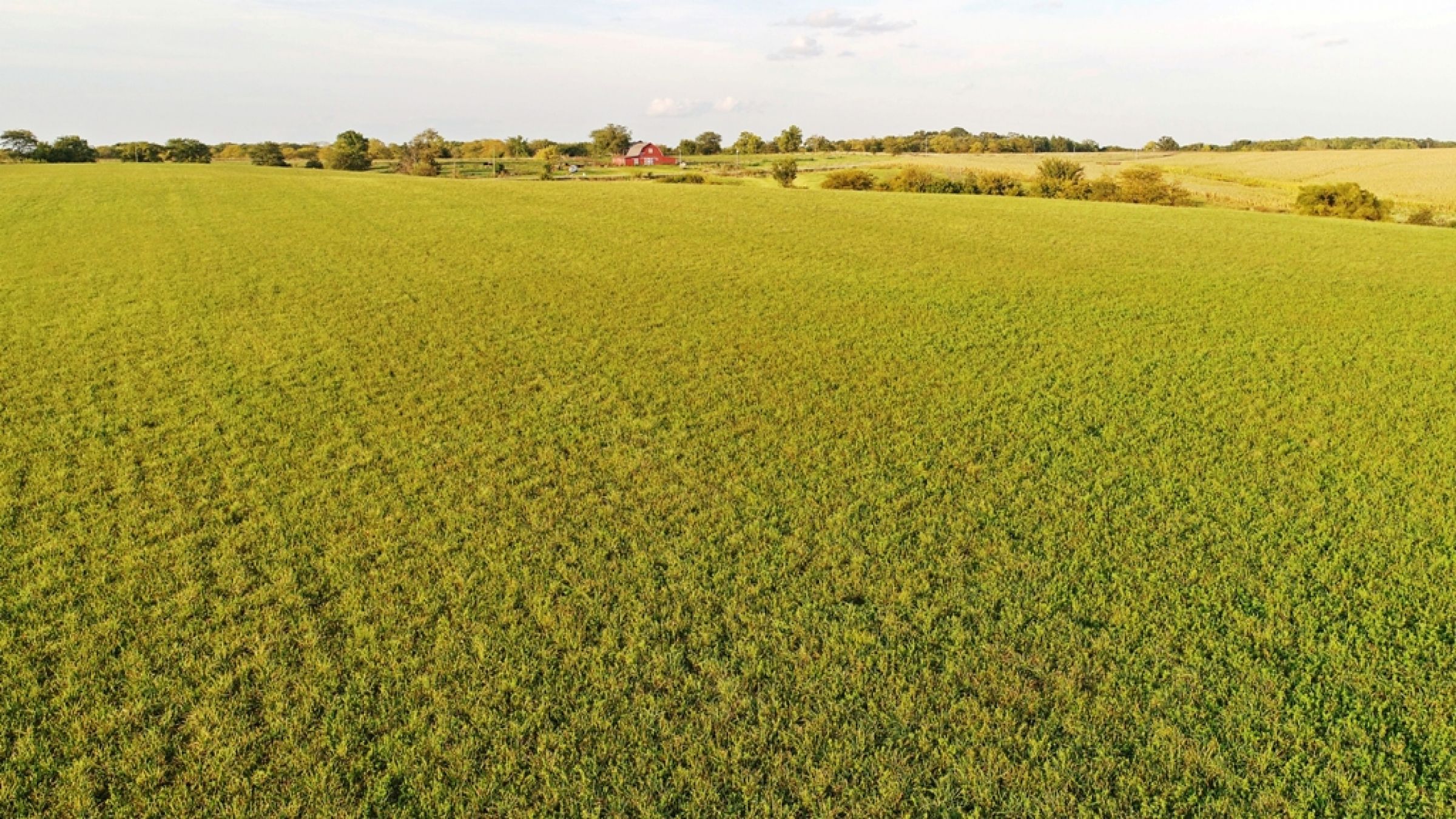 Listing Photo: residential-land-wayne-county-iowa-35-acres-listing-number-15183-4-2020-09-24-201015.JPG