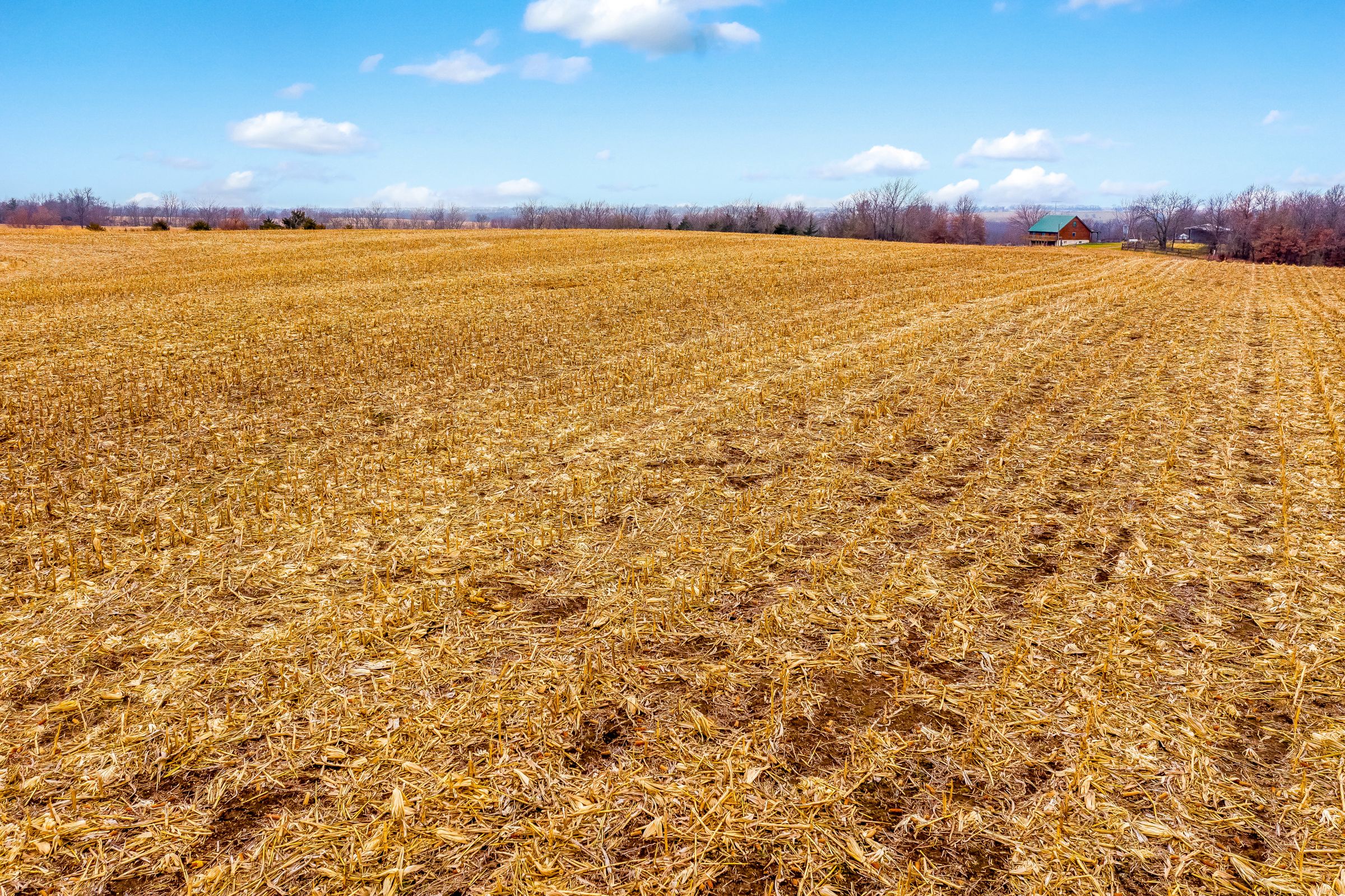 Listing Photo: land-linn-county-missouri-0-acres-listing-number-15281-0-2020-12-15-022459.jpeg