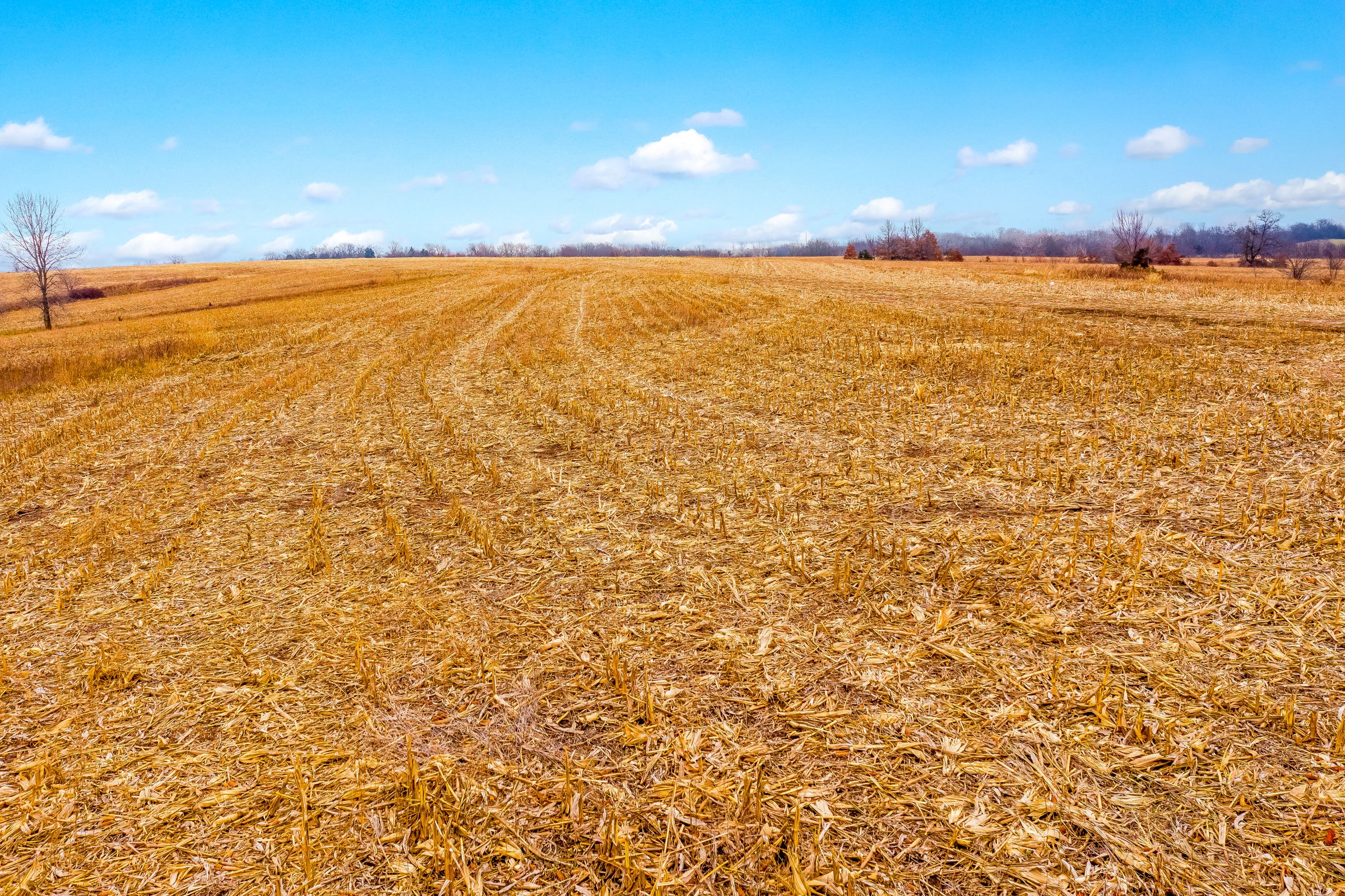 Listing Photo: land-linn-county-missouri-0-acres-listing-number-15281-0-2020-12-15-022751.jpeg