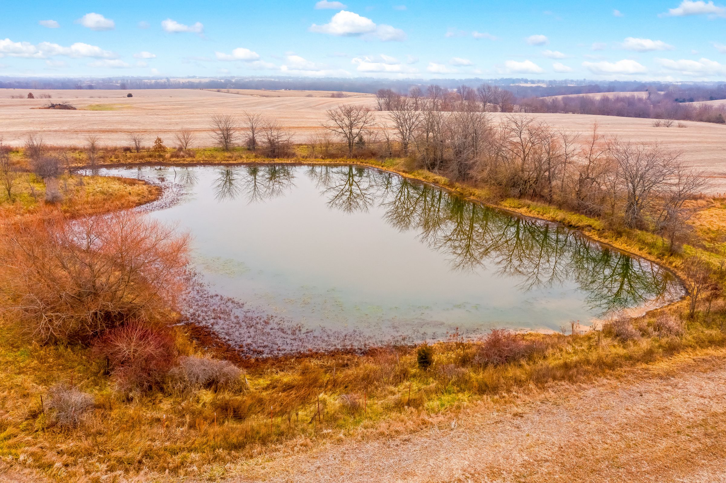 Listing Photo: land-linn-county-missouri-0-acres-listing-number-15281-1-2020-12-15-022242.jpeg