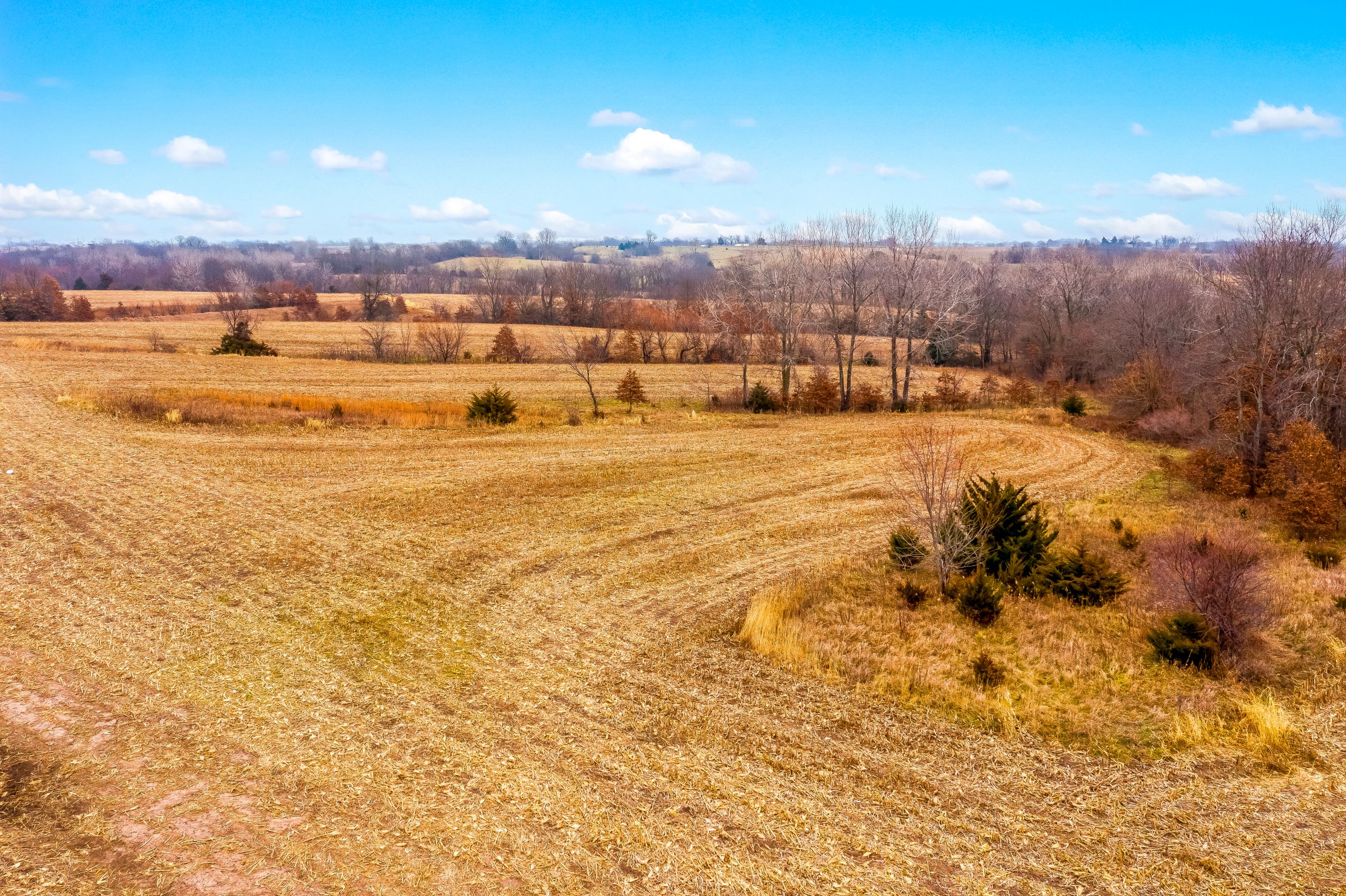 Listing Photo: land-linn-county-missouri-0-acres-listing-number-15281-1-2020-12-15-022501.jpeg