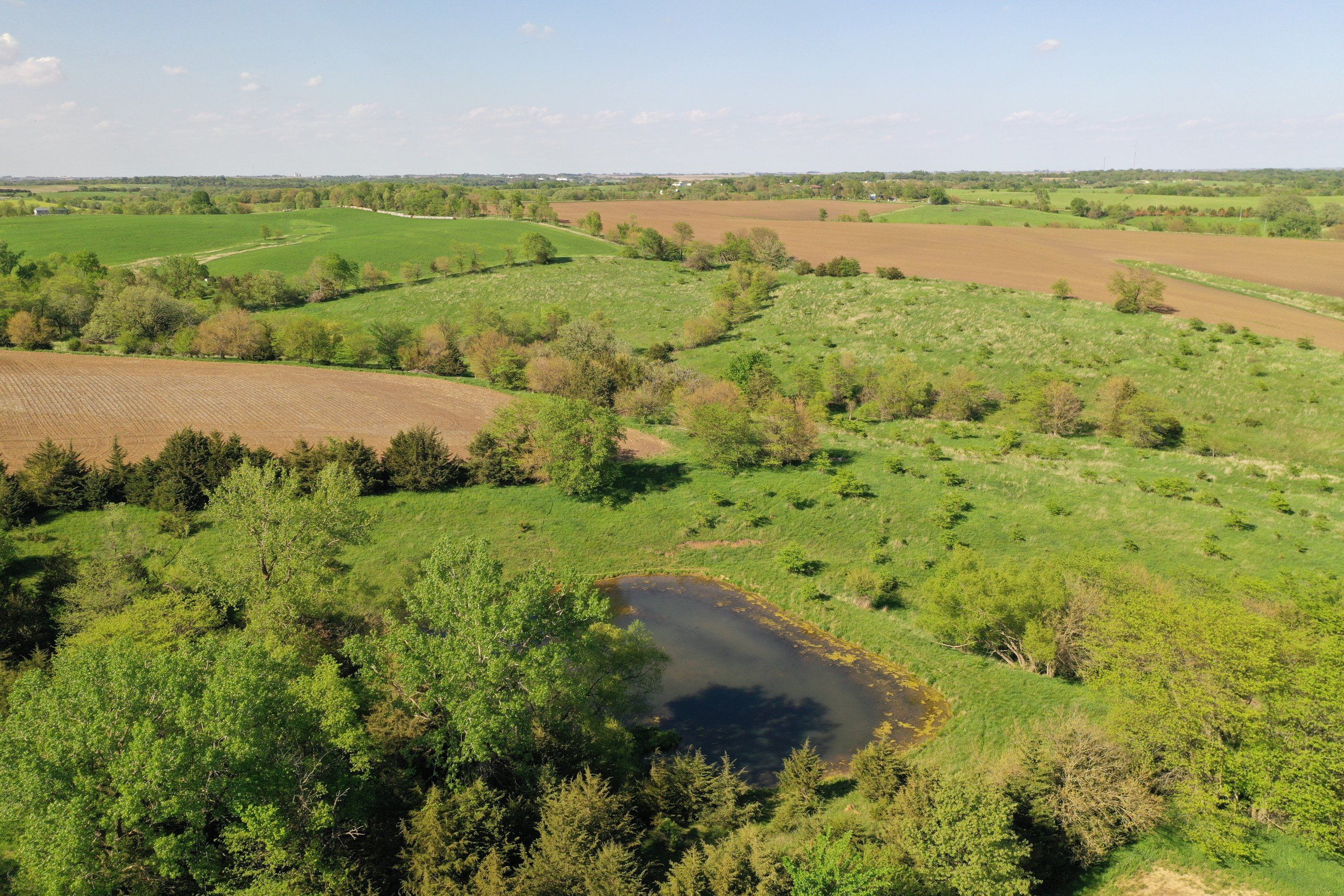 Listing Photo: Guthrie County Iowa Farmland and Building Site For Sale