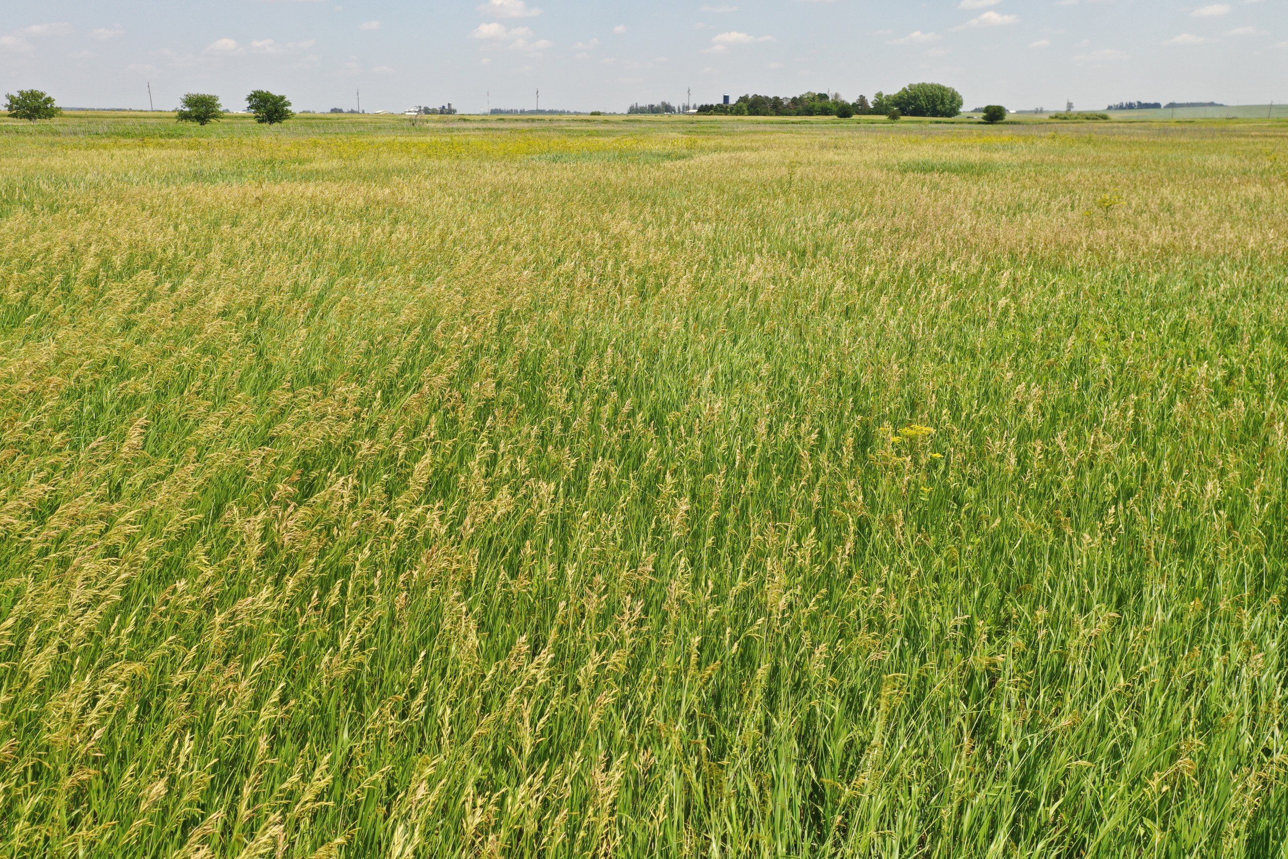 Listing Photo: Hamilton County Iowa Farmland For Sale