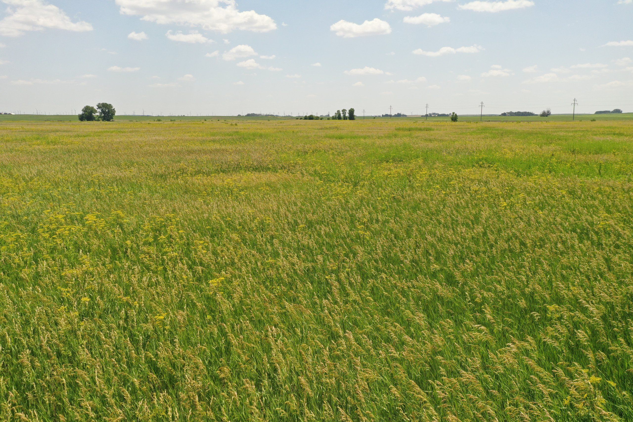 Listing Photo: Hamilton County Iowa Farmland For Sale