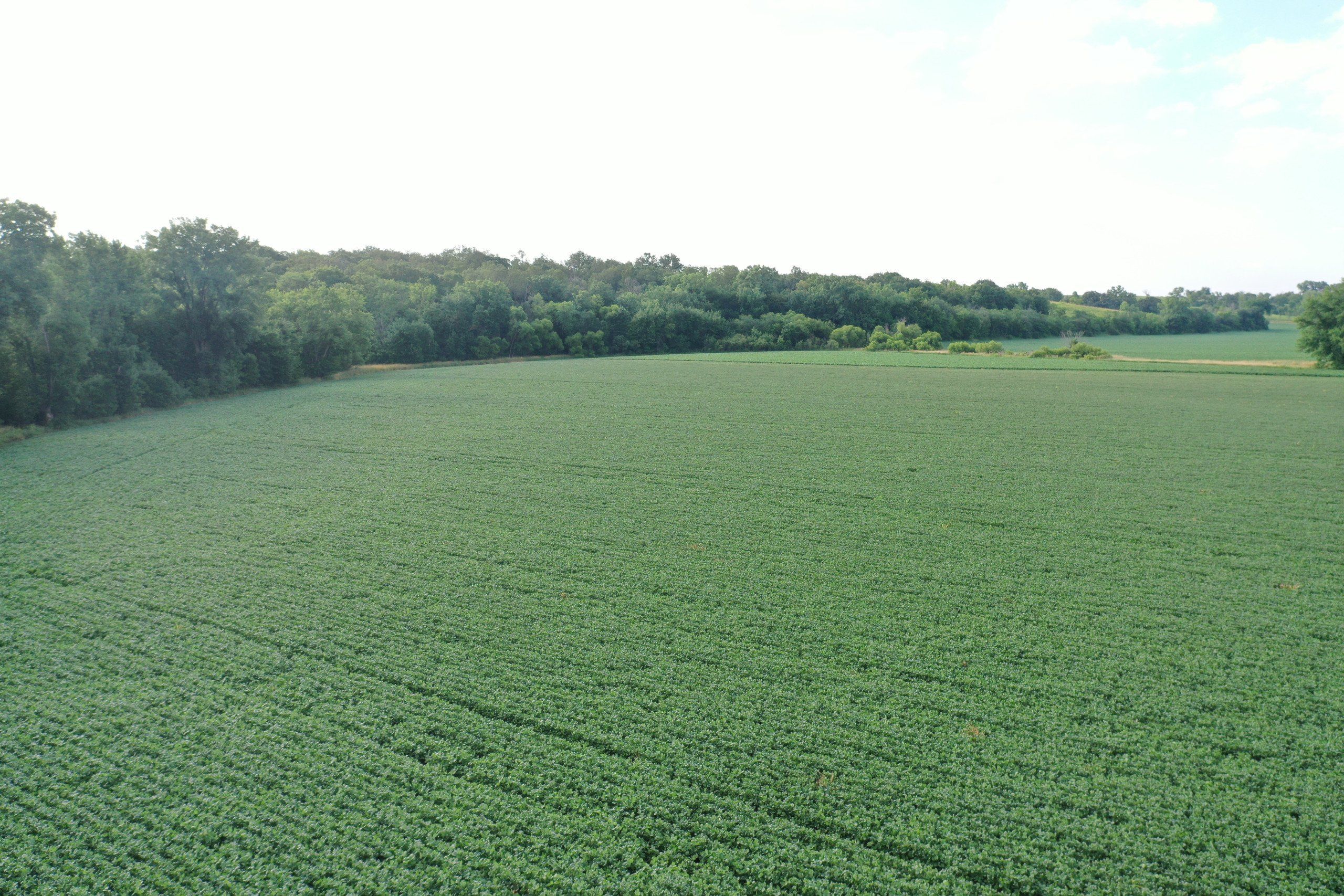 Listing Photo: land-marion-county-iowa-16-acres-listing-number-16309-DJI_0710-2.jpg