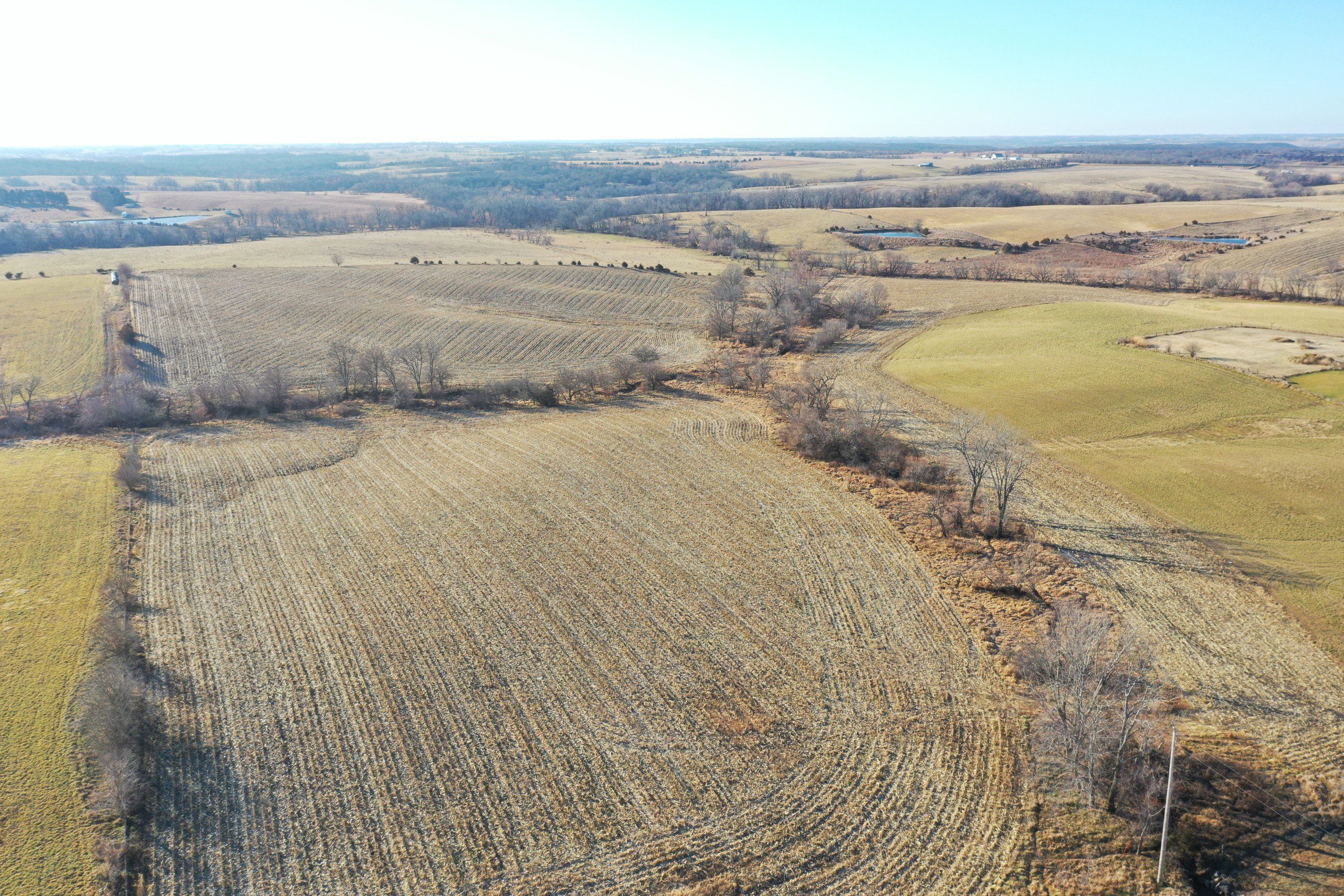 Listing Photo: land-decatur-county-iowa-81-acres-listing-number-16419-DJI_0704-2.jpg