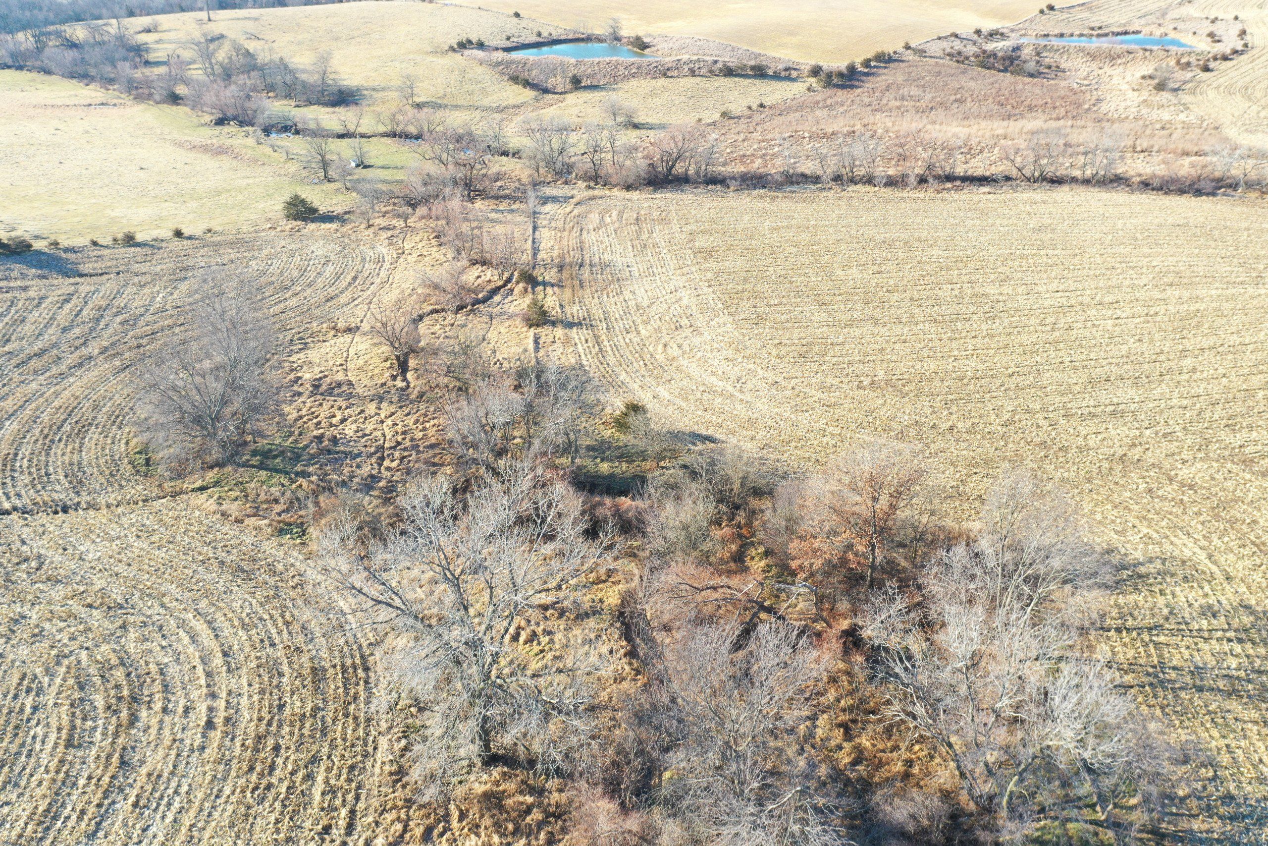 Listing Photo: land-decatur-county-iowa-81-acres-listing-number-16419-DJI_0714-2.jpg