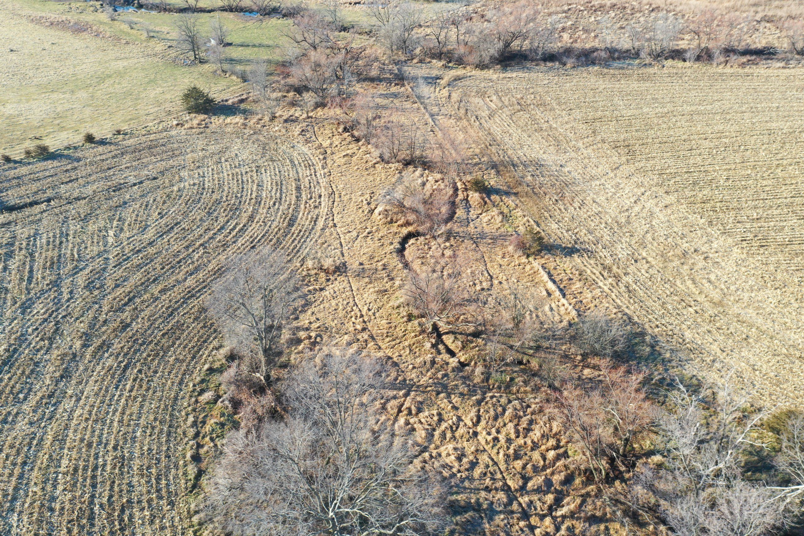 Listing Photo: land-decatur-county-iowa-81-acres-listing-number-16419-DJI_0715-3.jpg