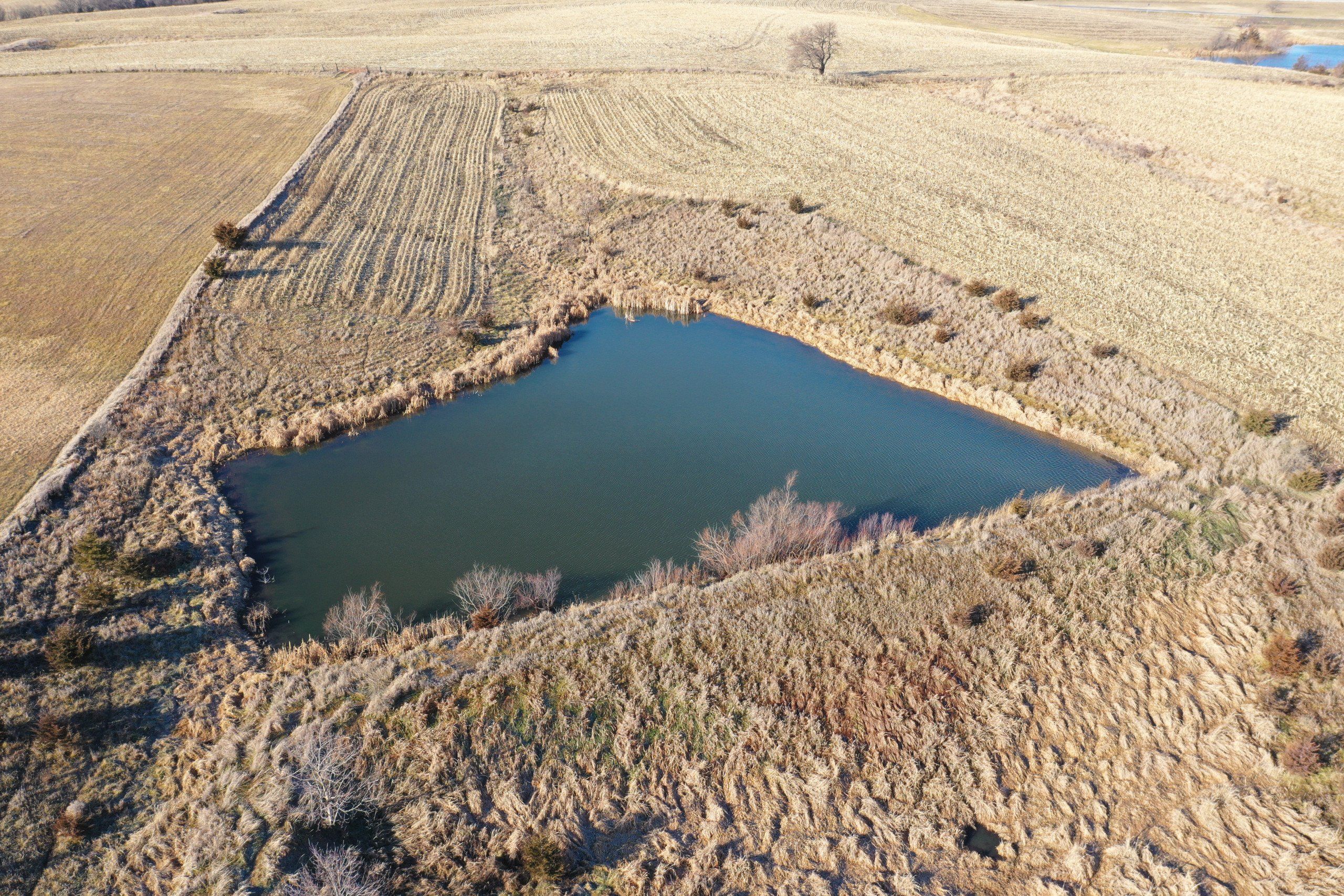Listing Photo: land-decatur-county-iowa-81-acres-listing-number-16419-DJI_0718-2.jpg