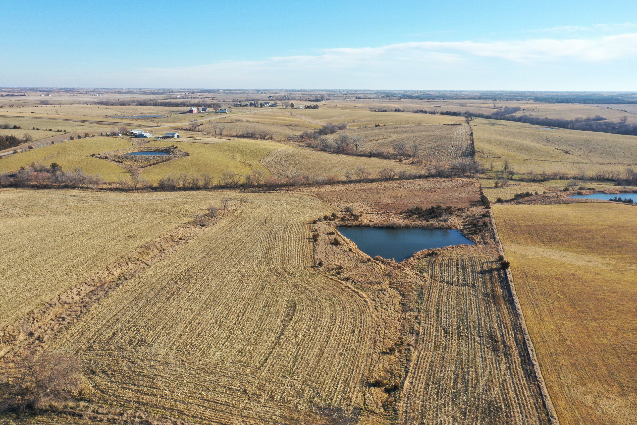 Listing Photo: land-decatur-county-iowa-81-acres-listing-number-16419-DJI_0719-3.jpg