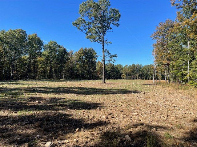 Listing Photo: Food Plot