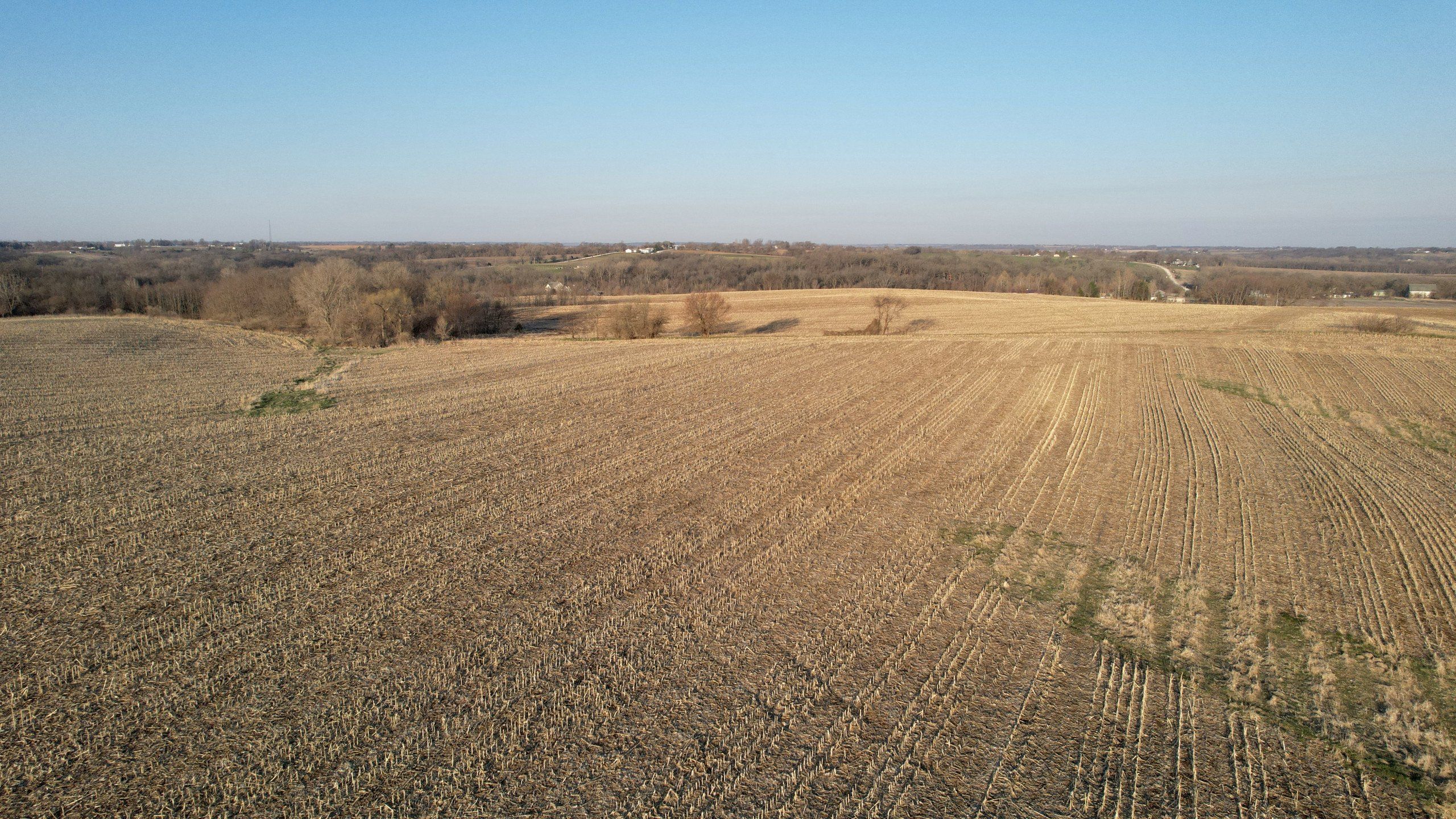 Listing Photo: land-warren-county-iowa-87-acres-listing-number-16765-DJI_0775-0.jpg