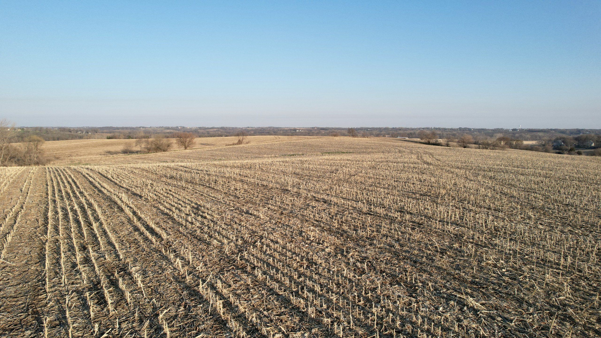 Listing Photo: land-warren-county-iowa-87-acres-listing-number-16765-DJI_0786-4.jpg