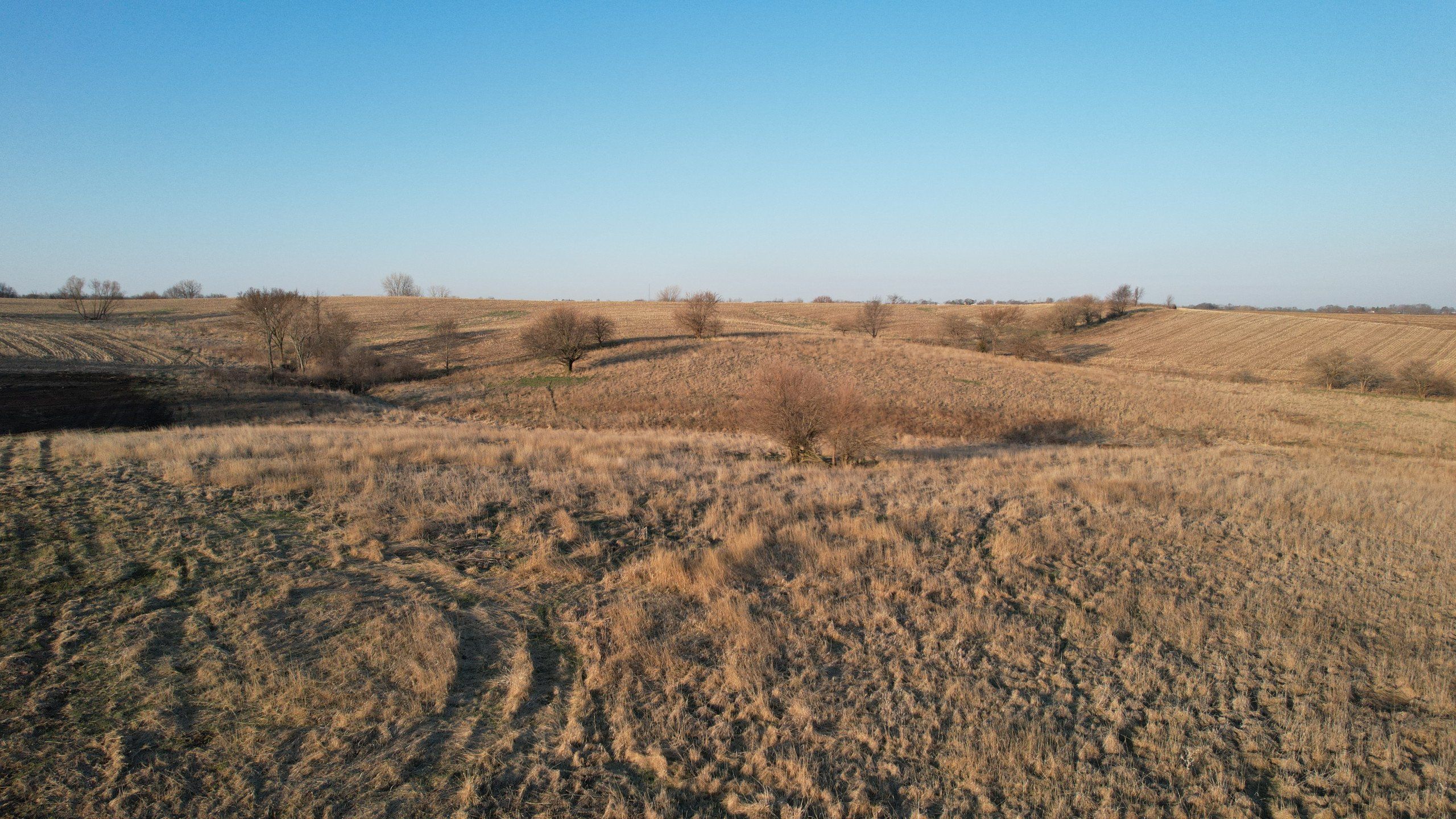 Listing Photo: land-warren-county-iowa-87-acres-listing-number-16765-DJI_0796-0.jpg
