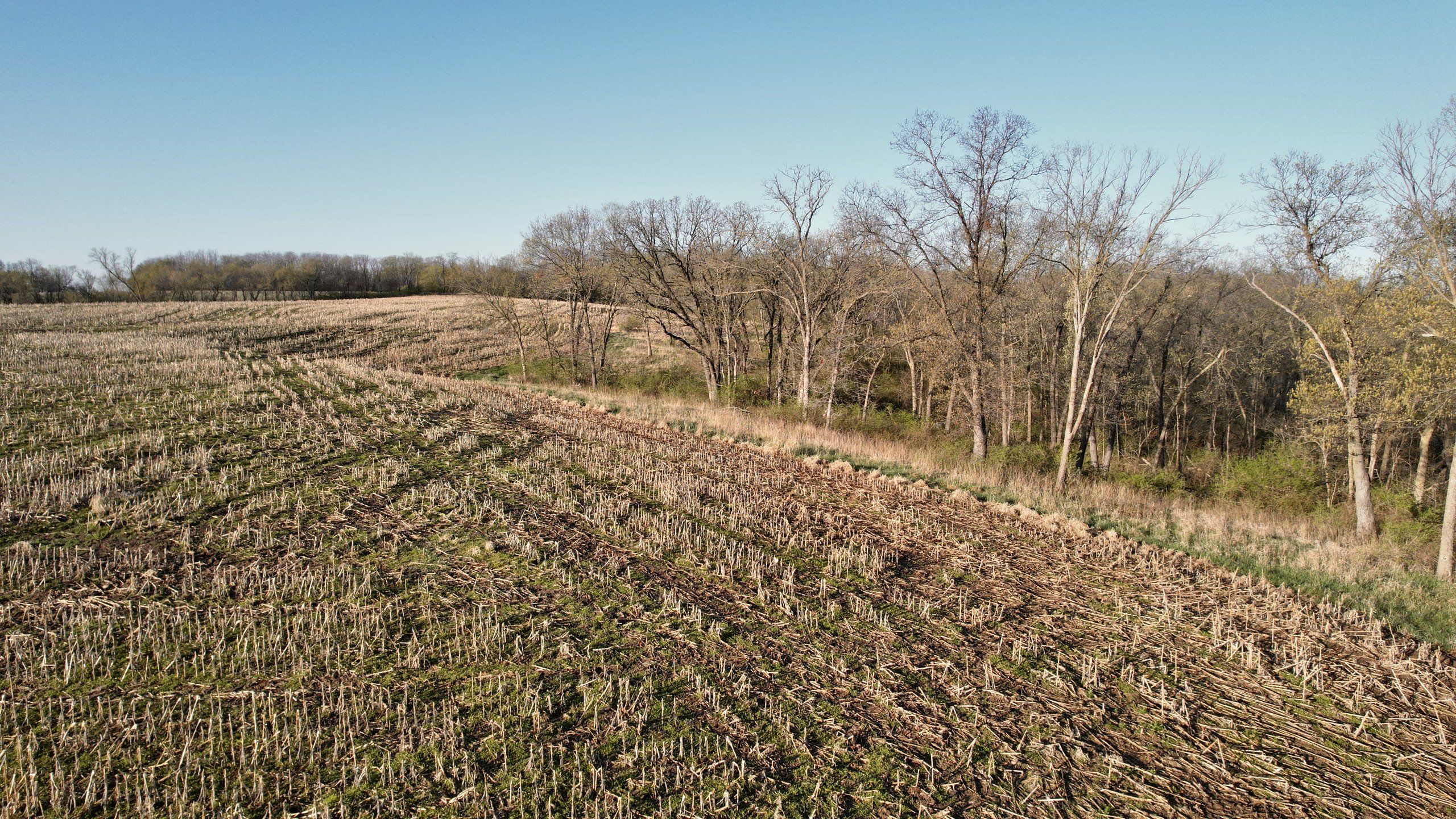 Listing Photo: land-marion-county-iowa-173-acres-listing-number-16784-DJI_0121-2.jpg