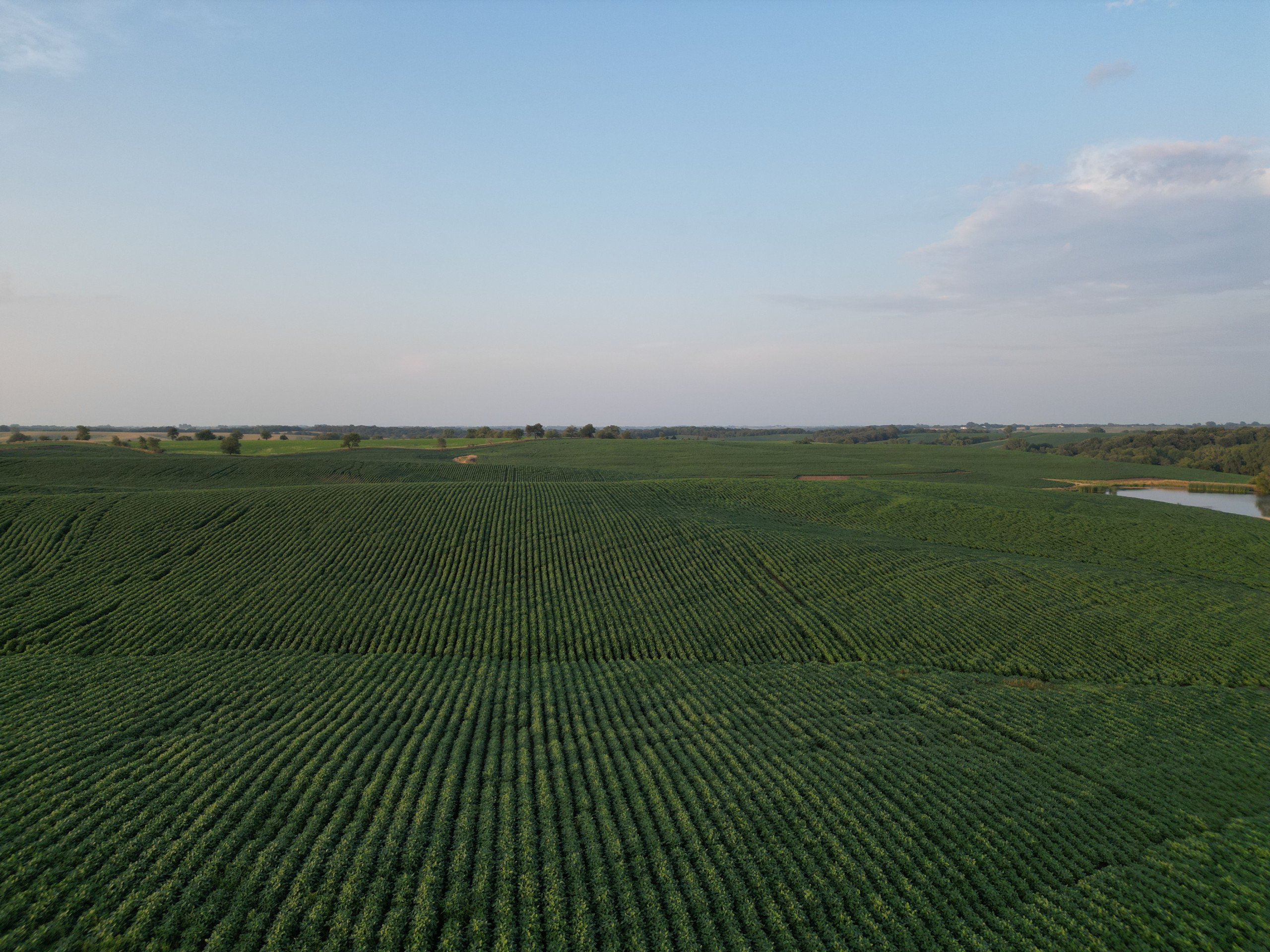 Listing Photo: land-adair-county-iowa-205-acres-listing-number-16963-DJI_0674-0.jpg