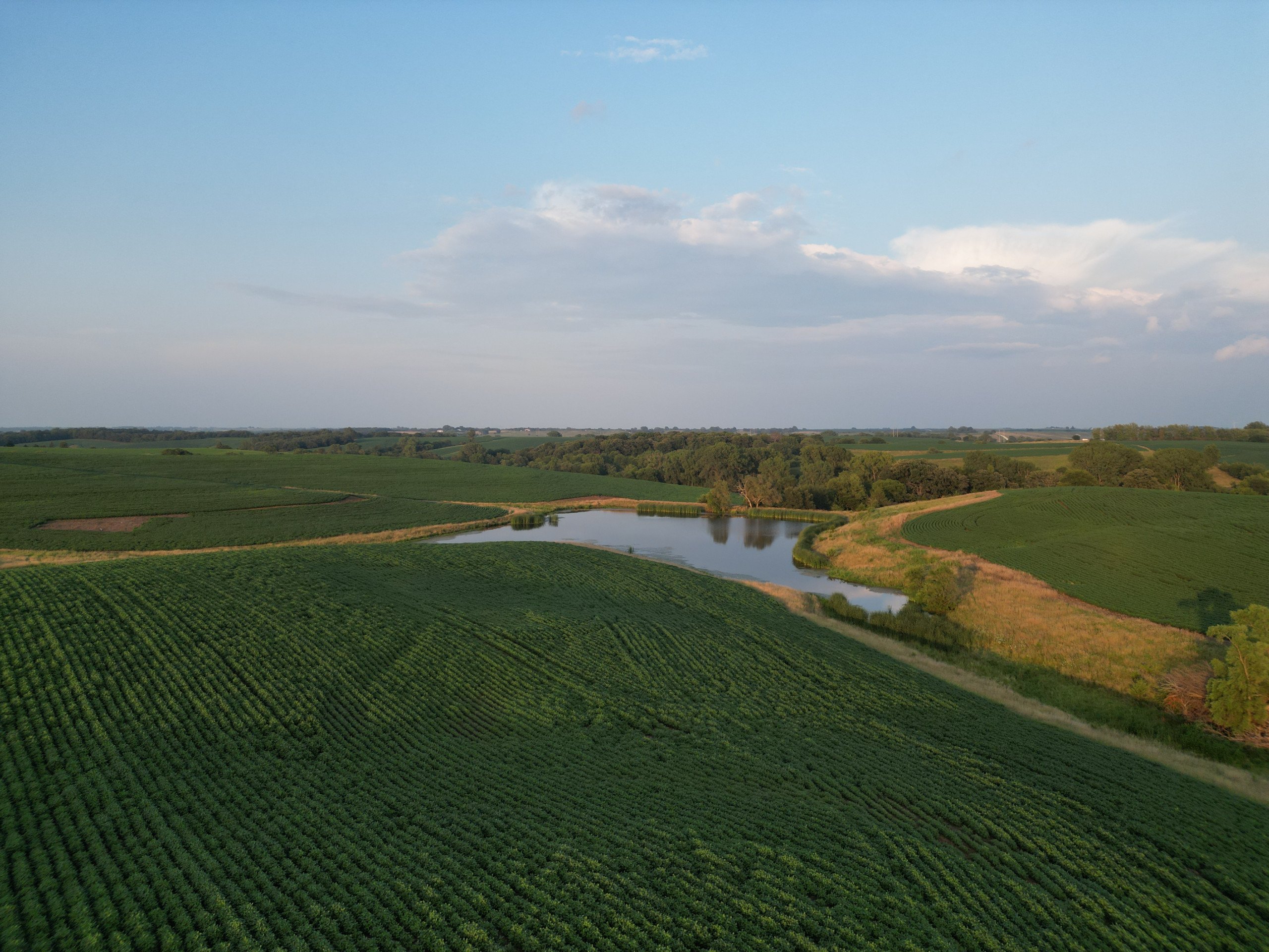 Listing Photo: land-adair-county-iowa-205-acres-listing-number-16963-DJI_0678-1.jpg