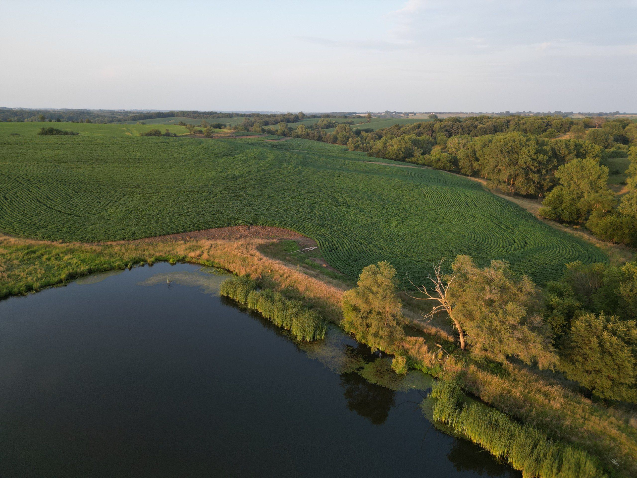 Listing Photo: land-adair-county-iowa-205-acres-listing-number-16963-DJI_0688-2.jpg