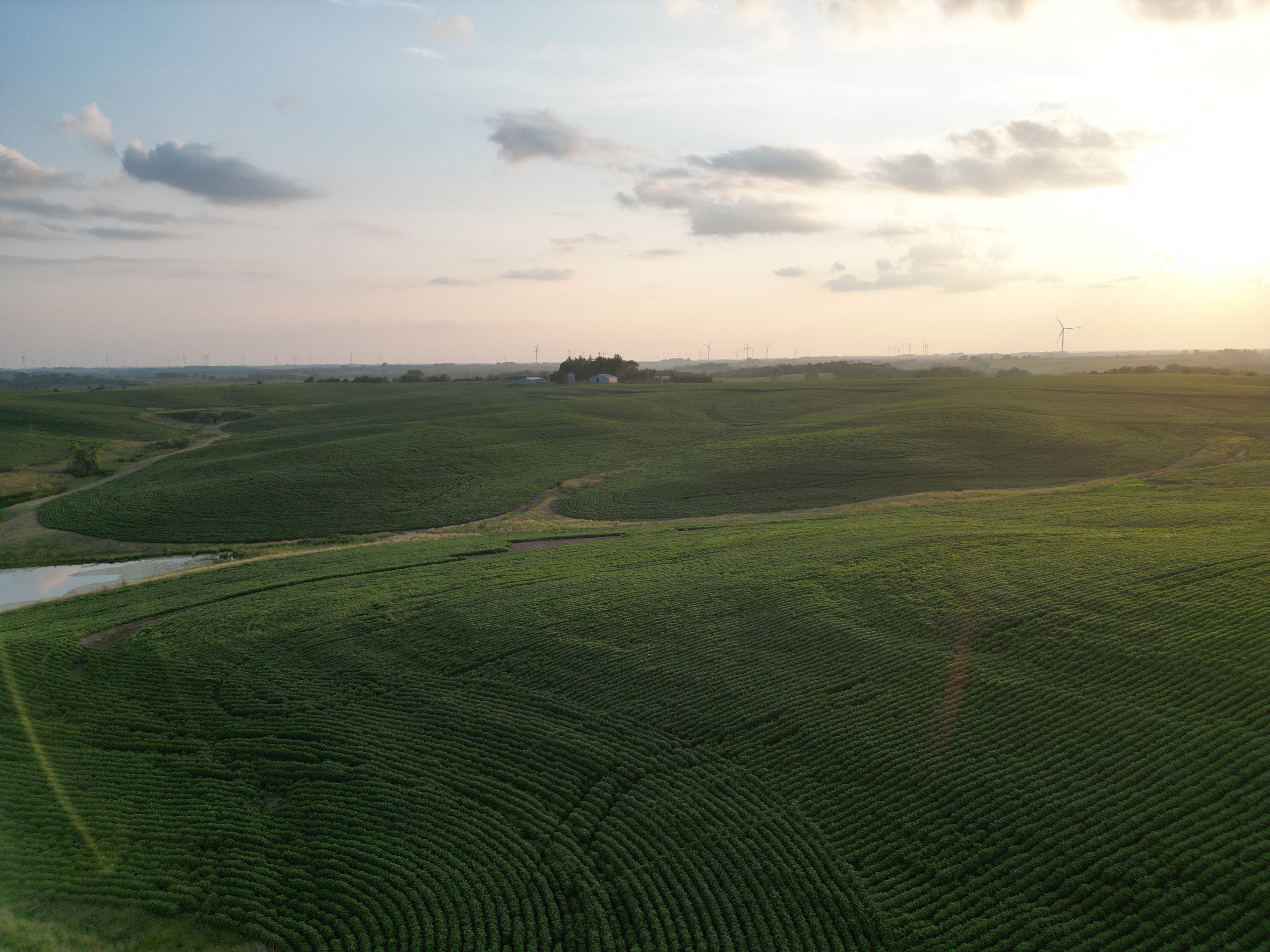 Listing Photo: land-adair-county-iowa-205-acres-listing-number-16963-DJI_0702-1.jpg