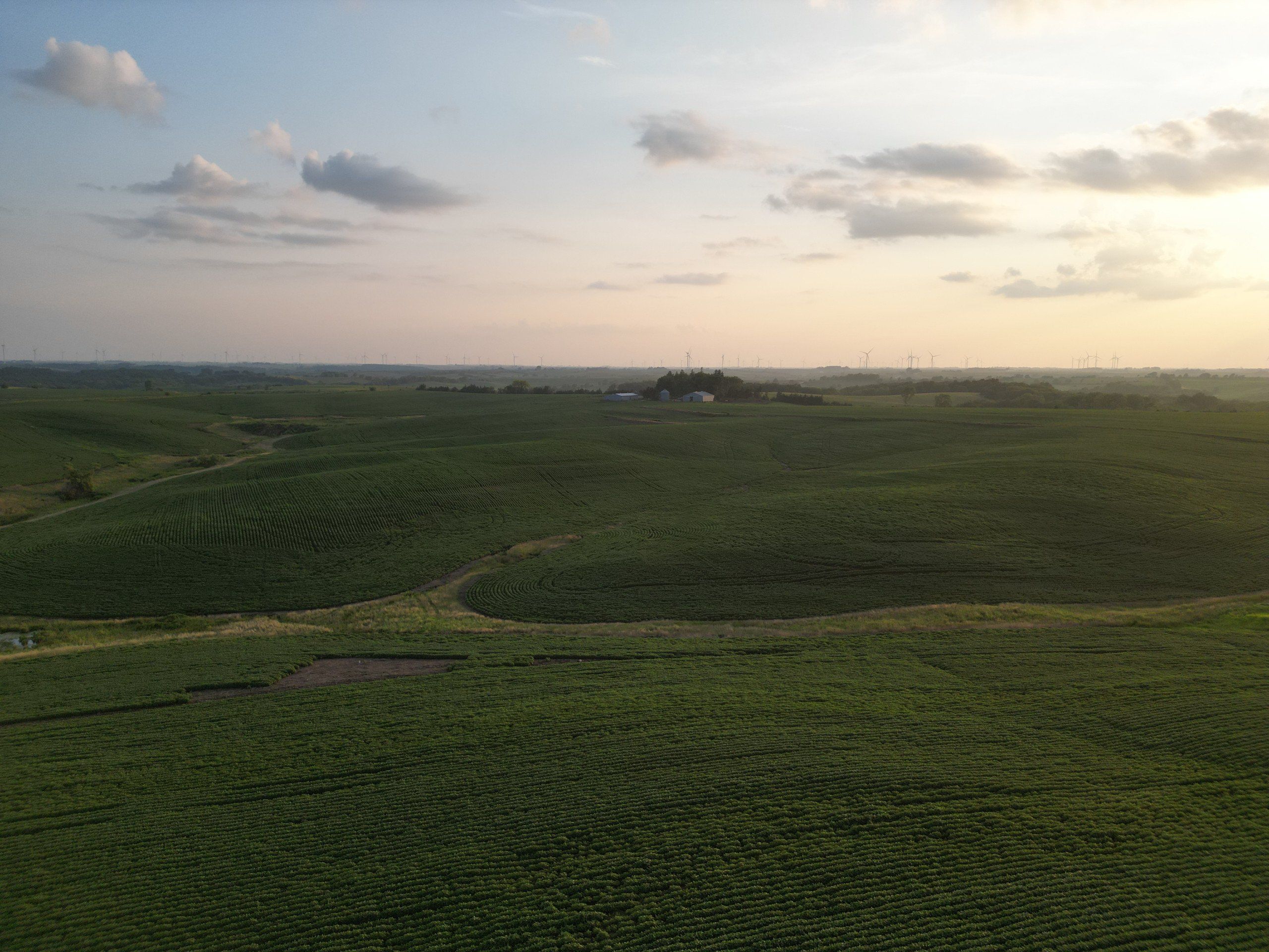 Listing Photo: land-adair-county-iowa-205-acres-listing-number-16963-DJI_0706-2.jpg