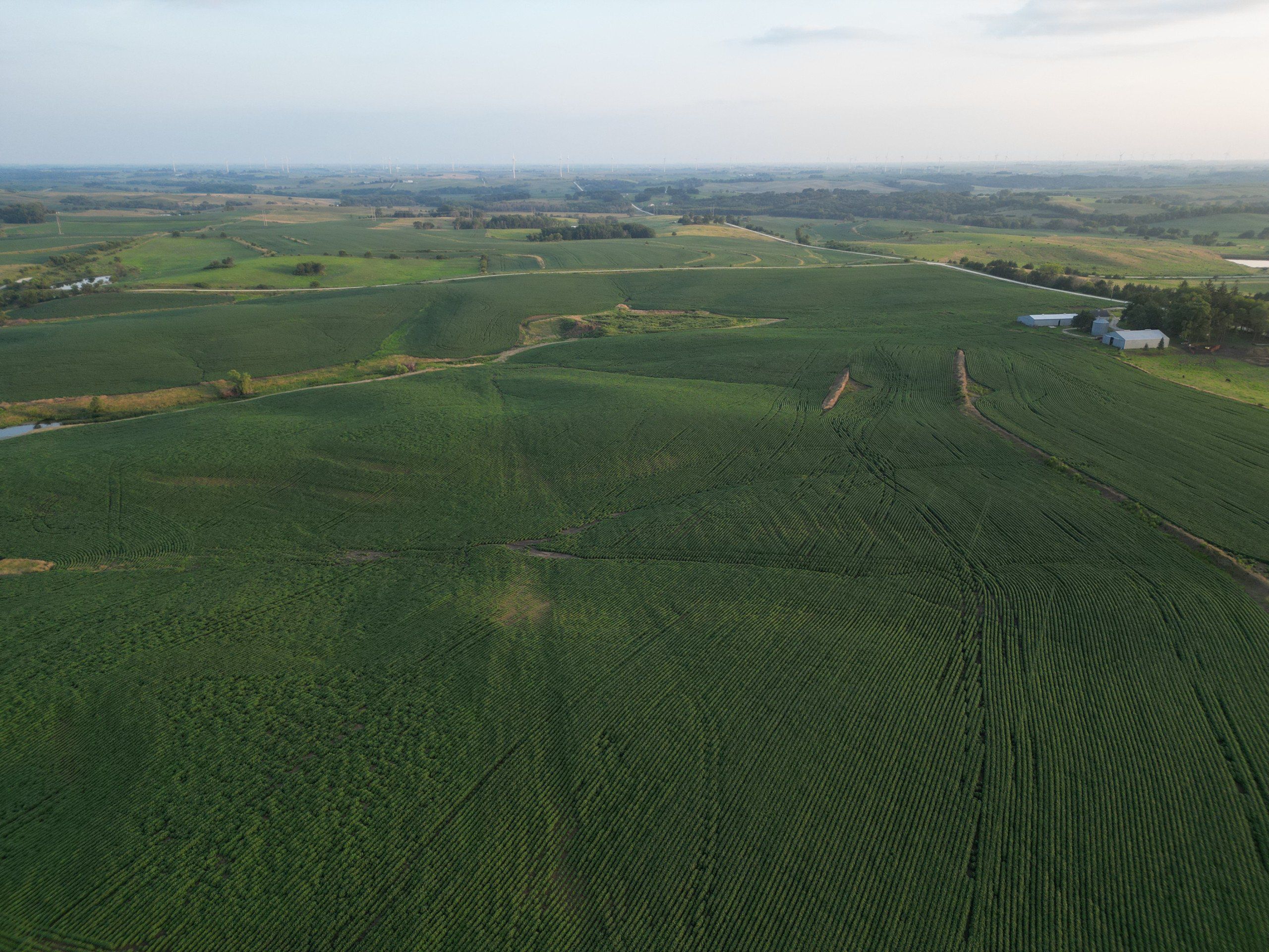 Listing Photo: land-adair-county-iowa-205-acres-listing-number-16963-DJI_0714-1.jpg