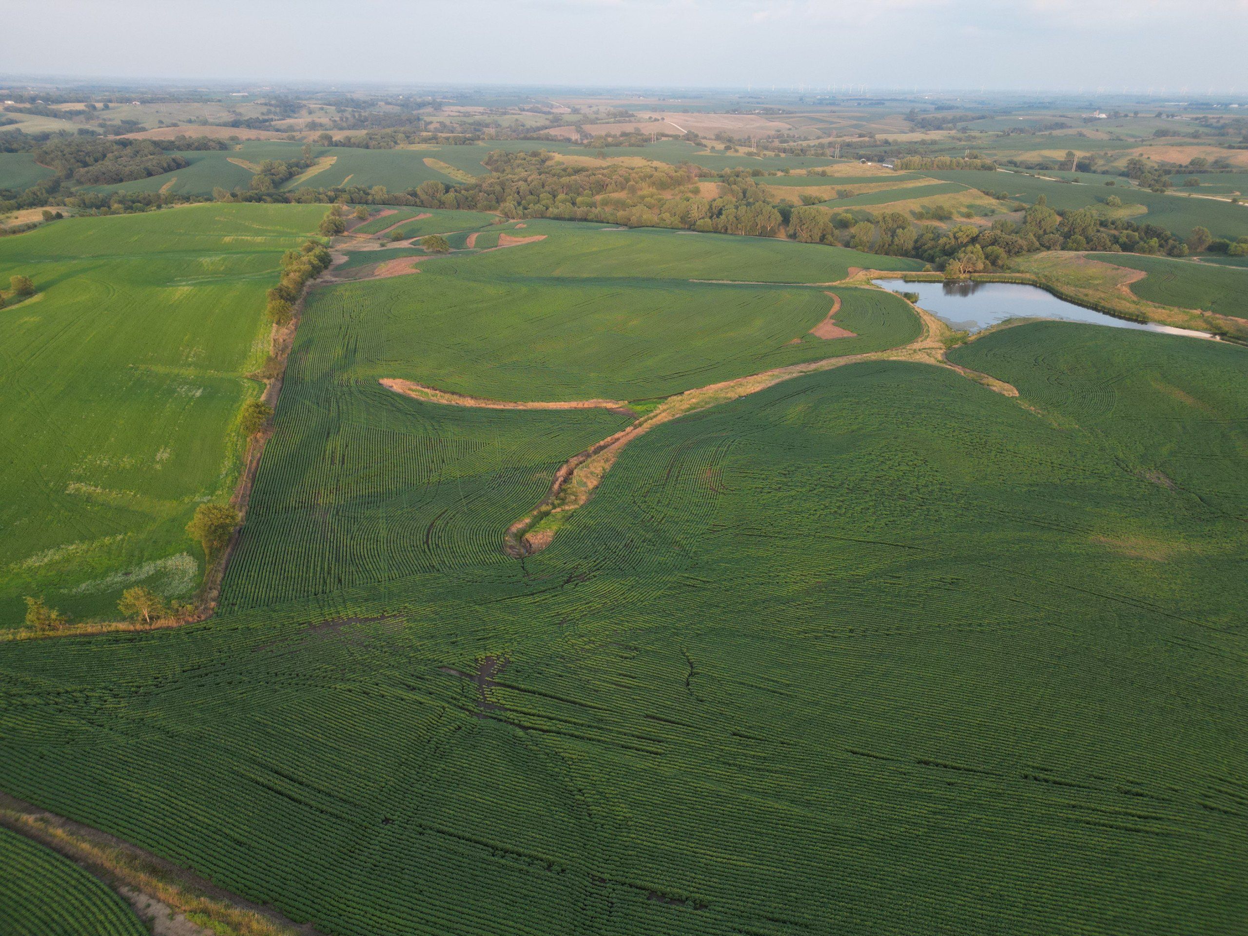 Listing Photo: land-adair-county-iowa-205-acres-listing-number-16963-DJI_0717-2.jpg