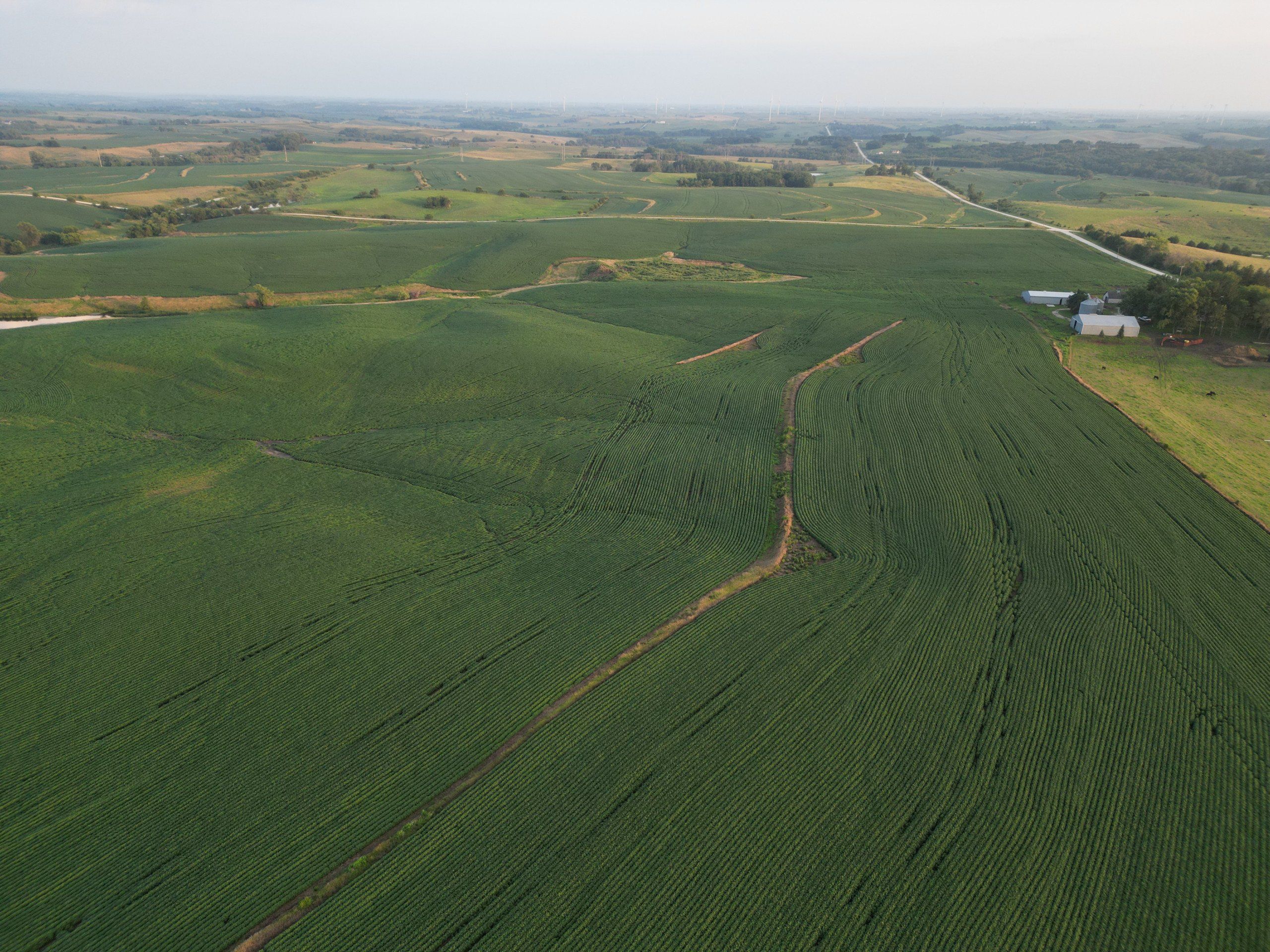 Listing Photo: land-adair-county-iowa-205-acres-listing-number-16963-DJI_0718-0.jpg