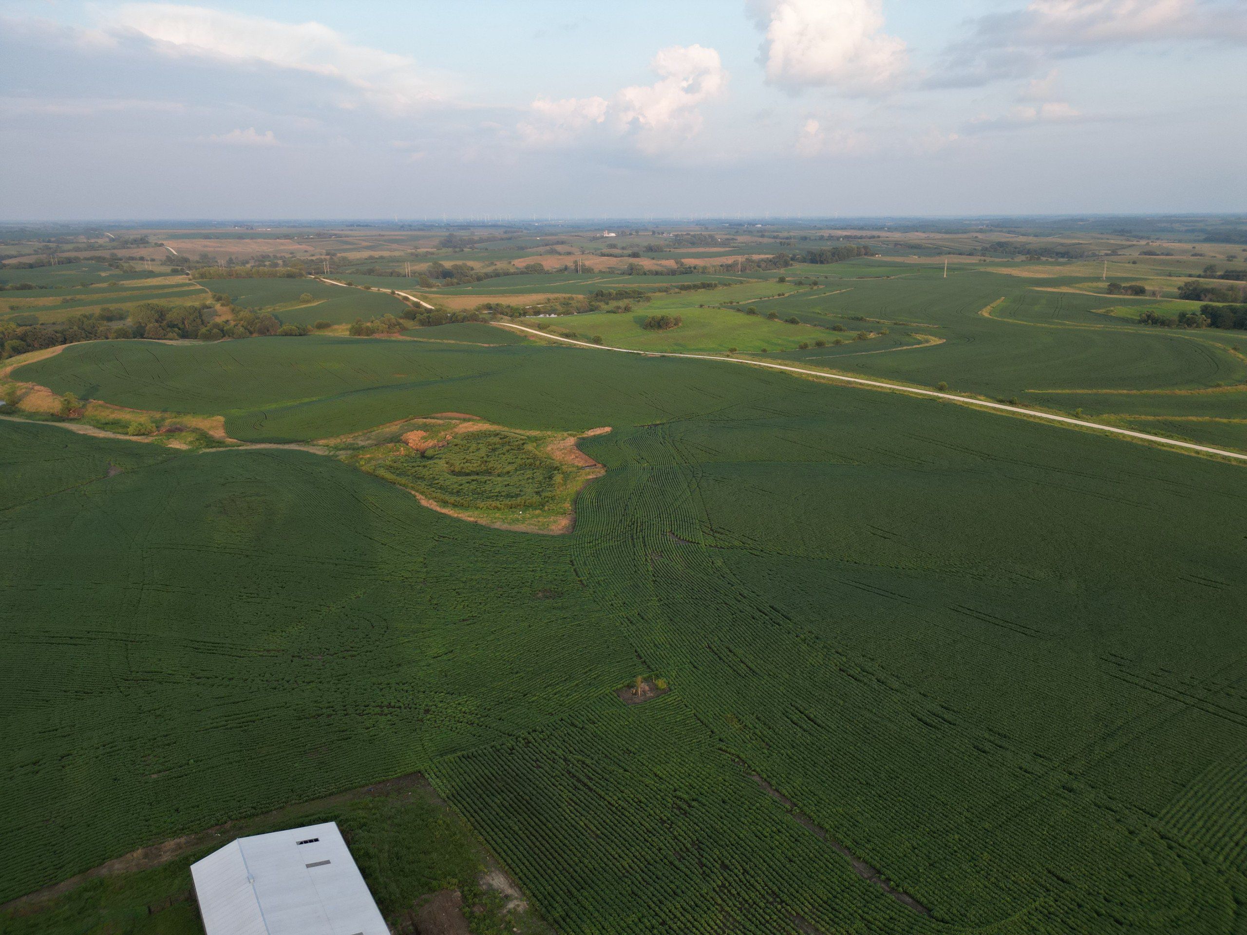 Listing Photo: land-adair-county-iowa-205-acres-listing-number-16963-DJI_0728-1.jpg