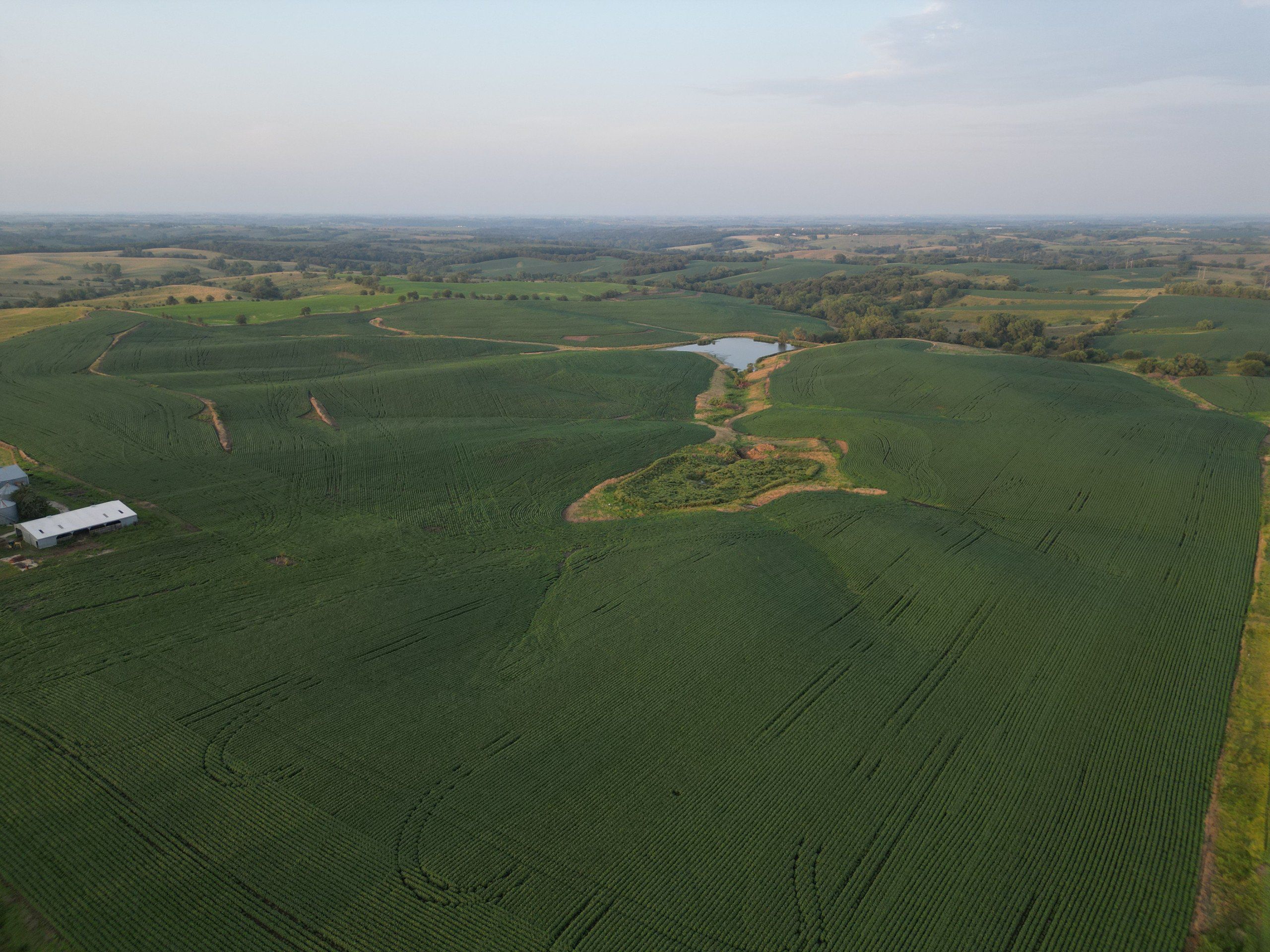 Listing Photo: land-adair-county-iowa-205-acres-listing-number-16963-DJI_0734-2.jpg