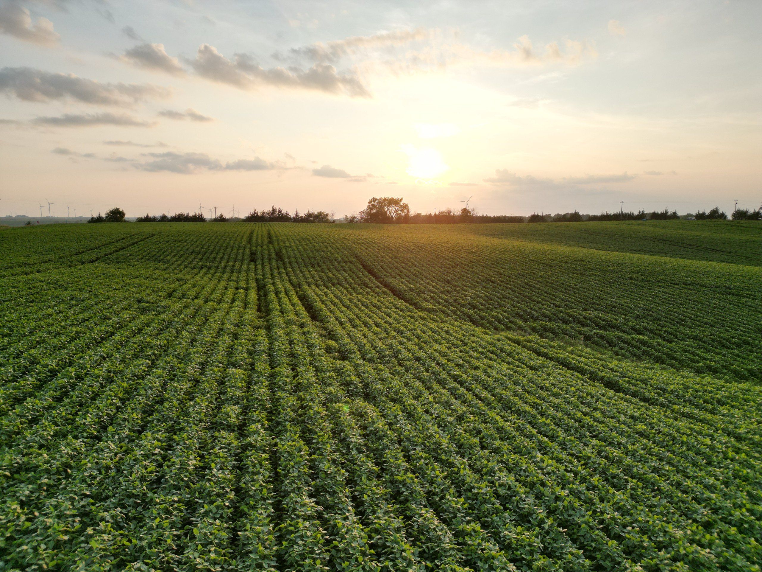 Listing Photo: land-adair-county-iowa-205-acres-listing-number-16963-DJI_0743-0.jpg
