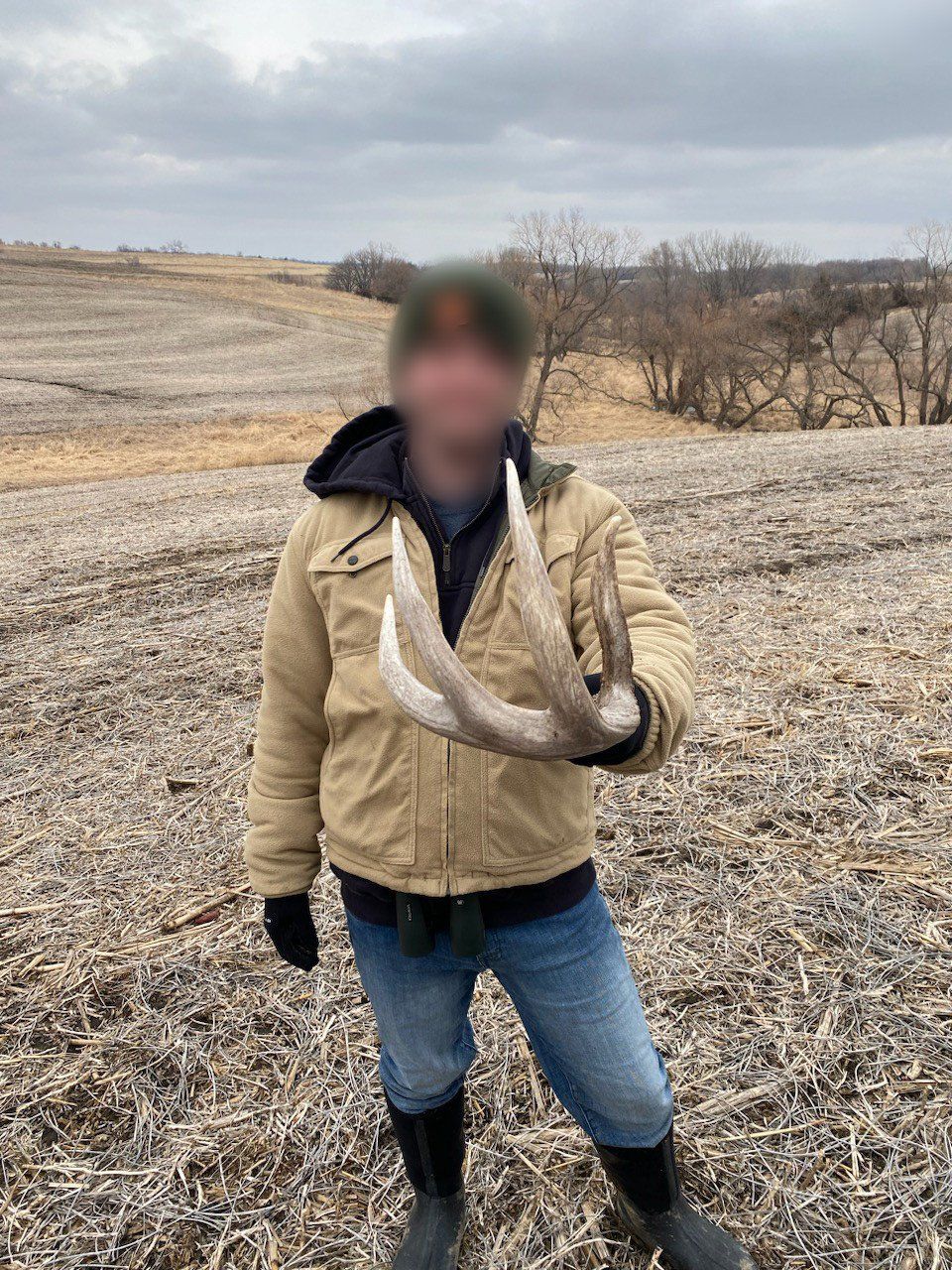 Listing Photo: land-adair-county-iowa-205-acres-listing-number-16963-IMG_2297 blur-0.jpg