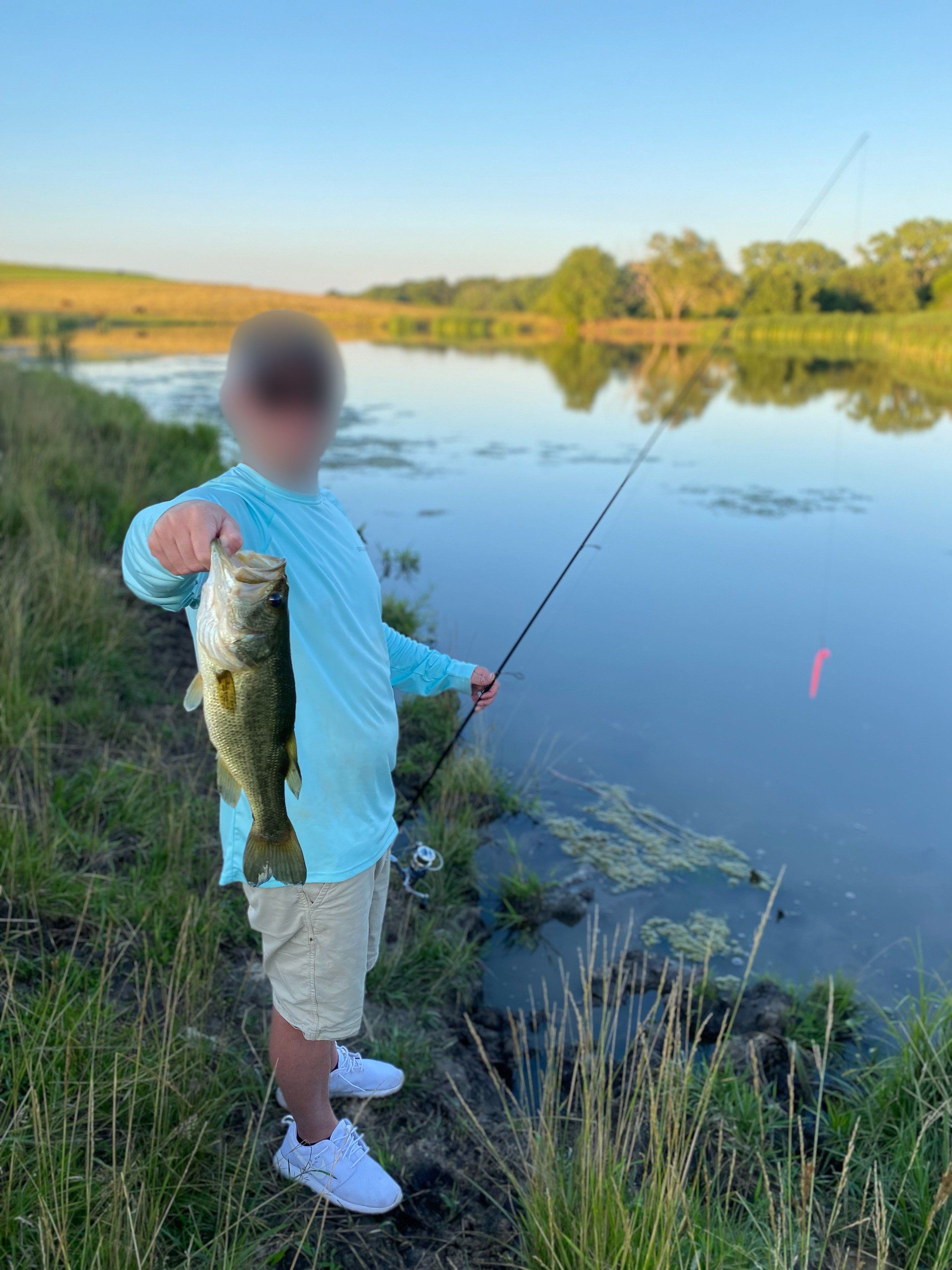 Listing Photo: land-adair-county-iowa-205-acres-listing-number-16963-IMG_3684 blur-2.jpg