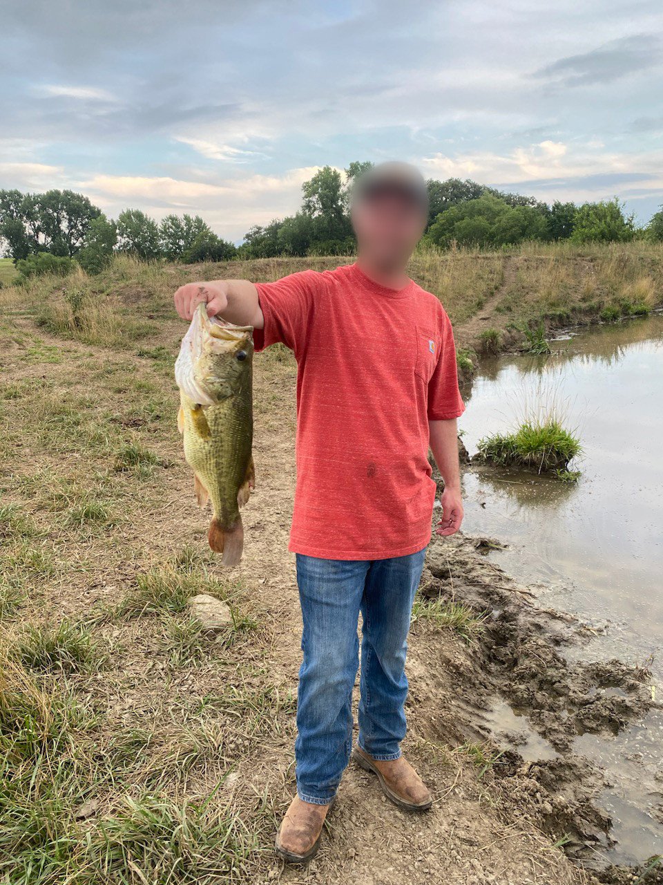 Listing Photo: land-adair-county-iowa-205-acres-listing-number-16963-IMG_4339 blur-3.jpg