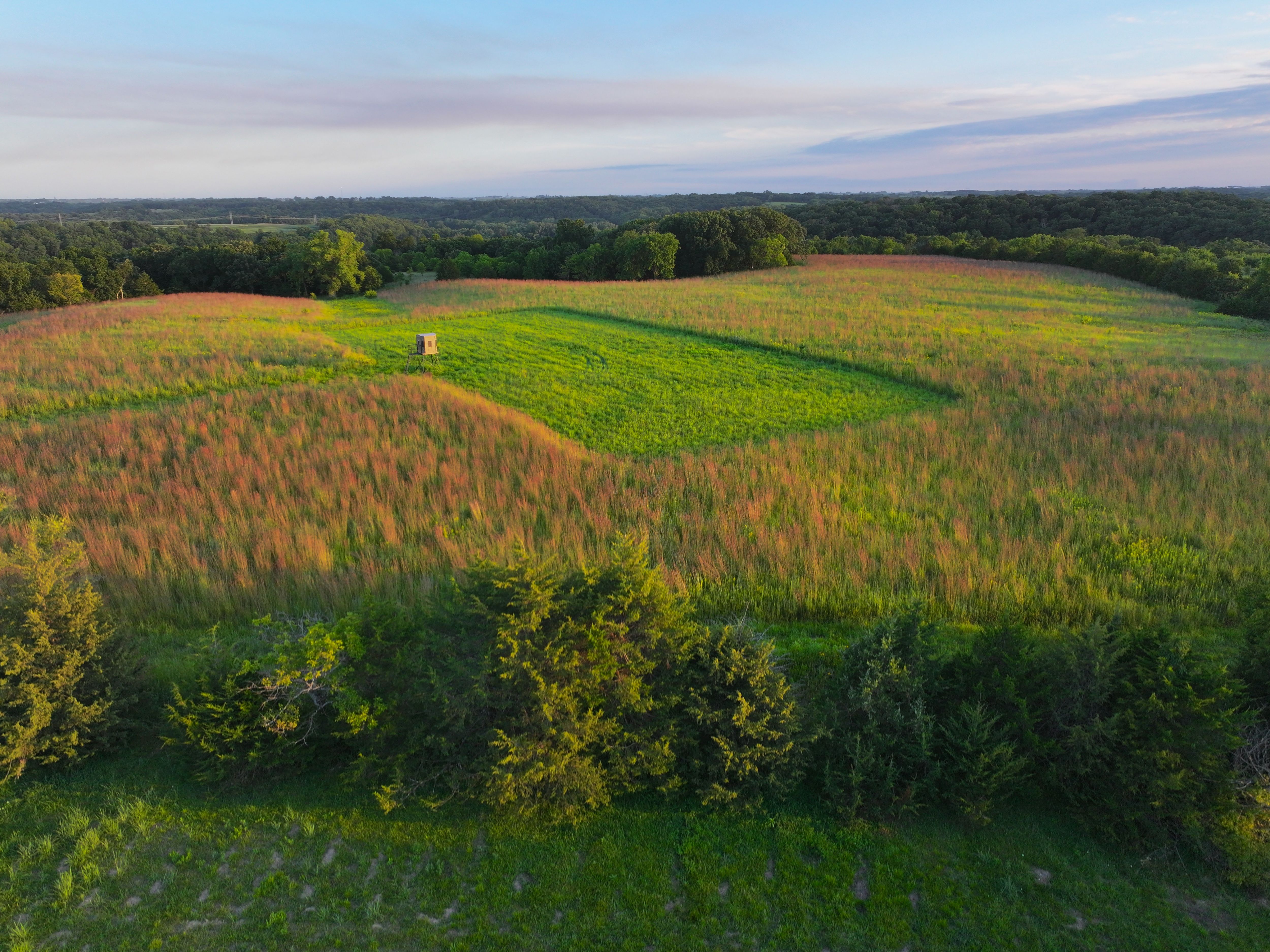 Listing Photo: DJI_20250822133325_0182_D-1