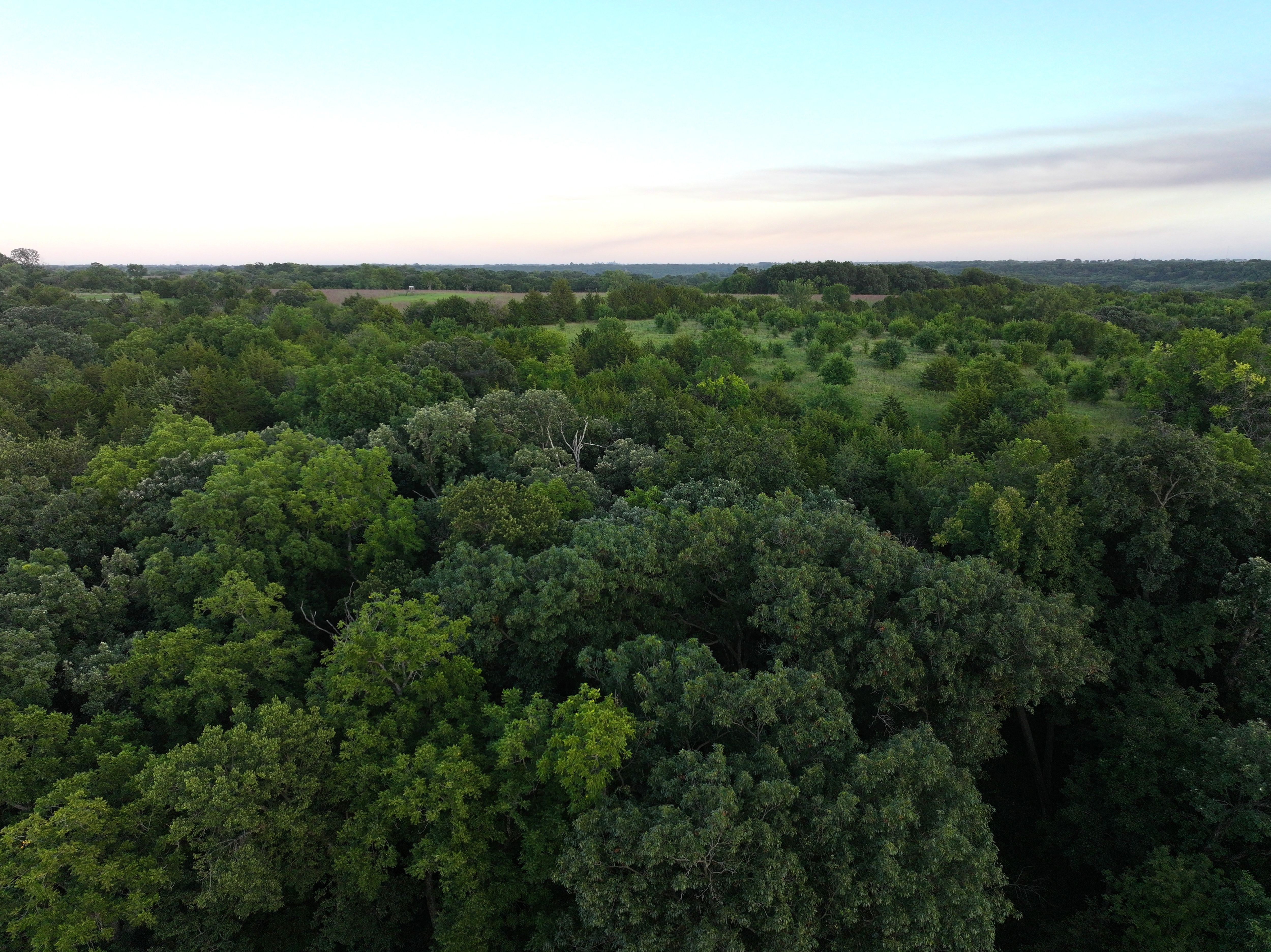 Listing Photo: DJI_20250822133803_0205_D-1