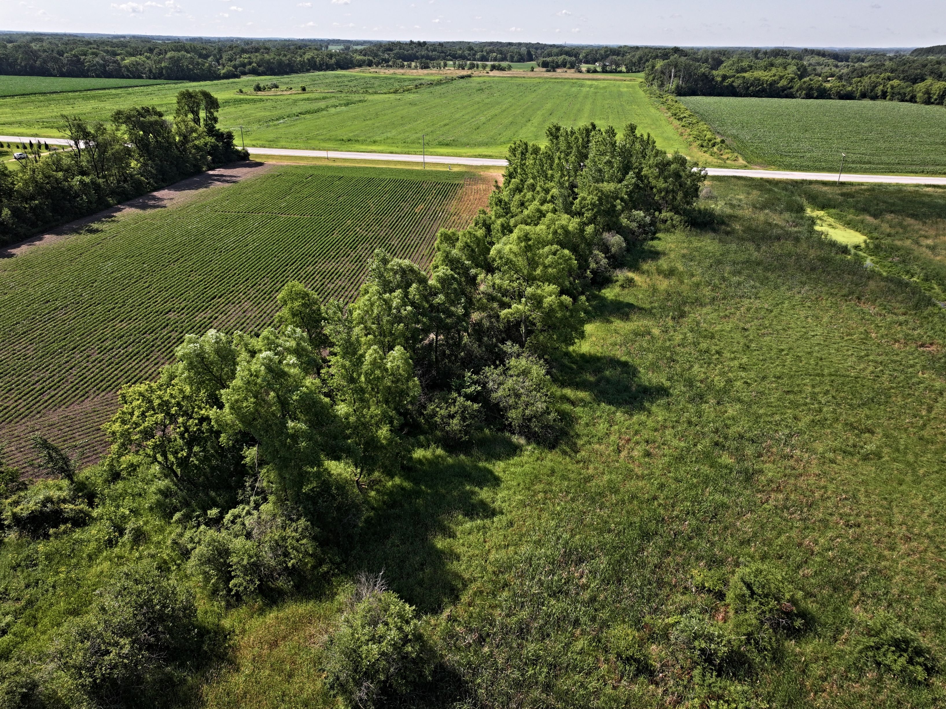 Listing Photo: DJI_20250611151907_0052_D