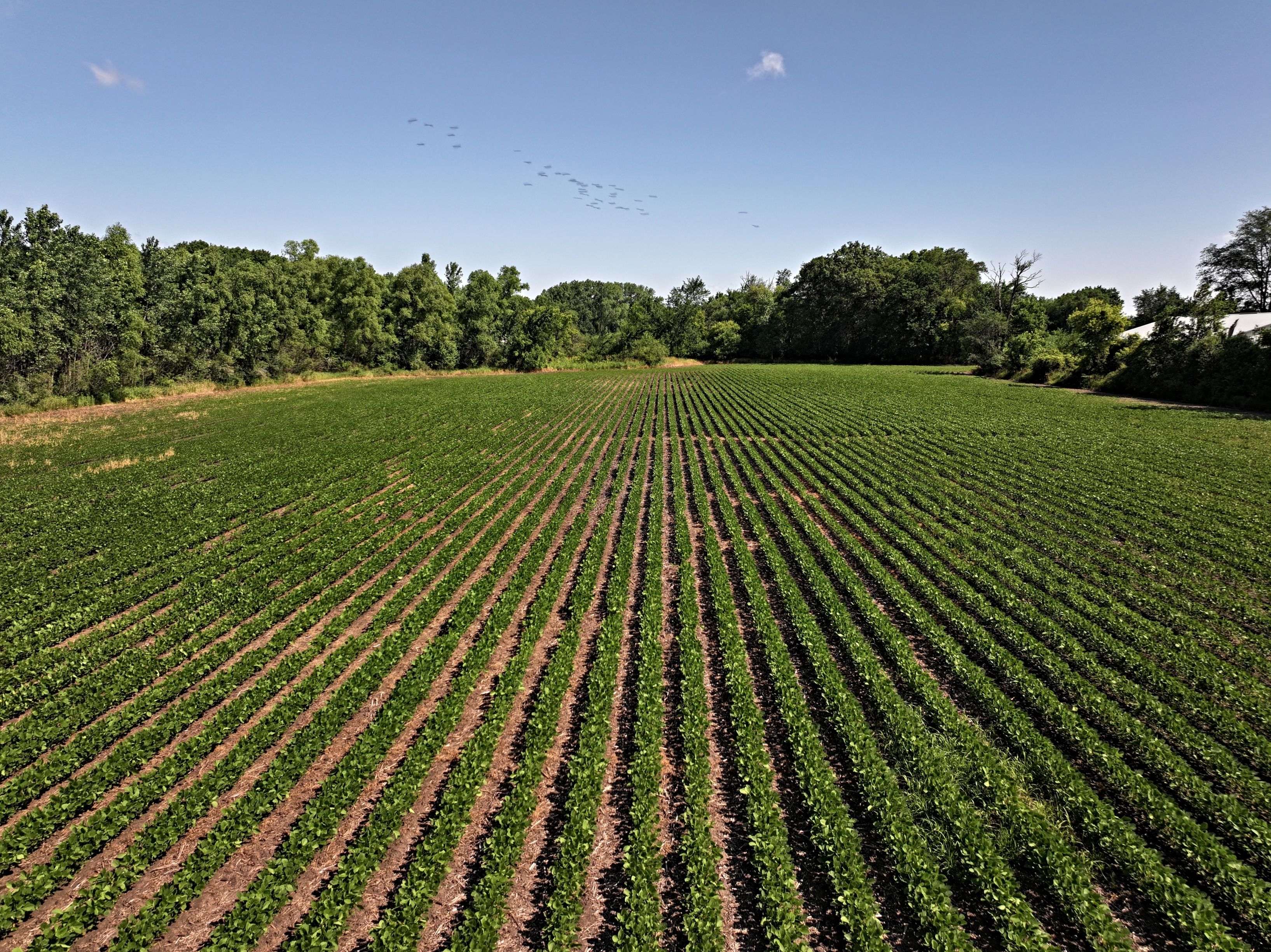 Listing Photo: DJI_20250611151952_0055_D