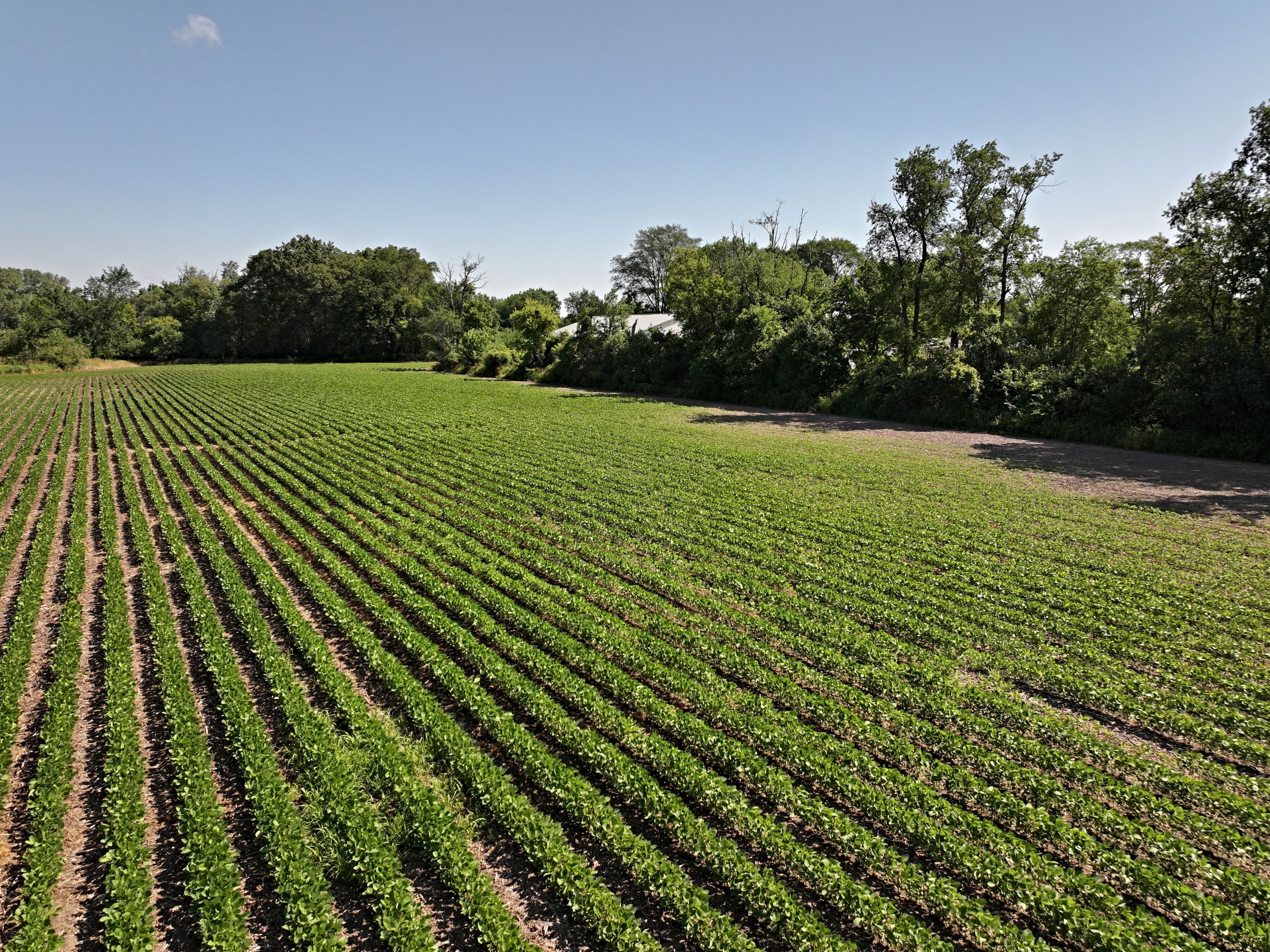 Listing Photo: DJI_20250611151956_0056_D